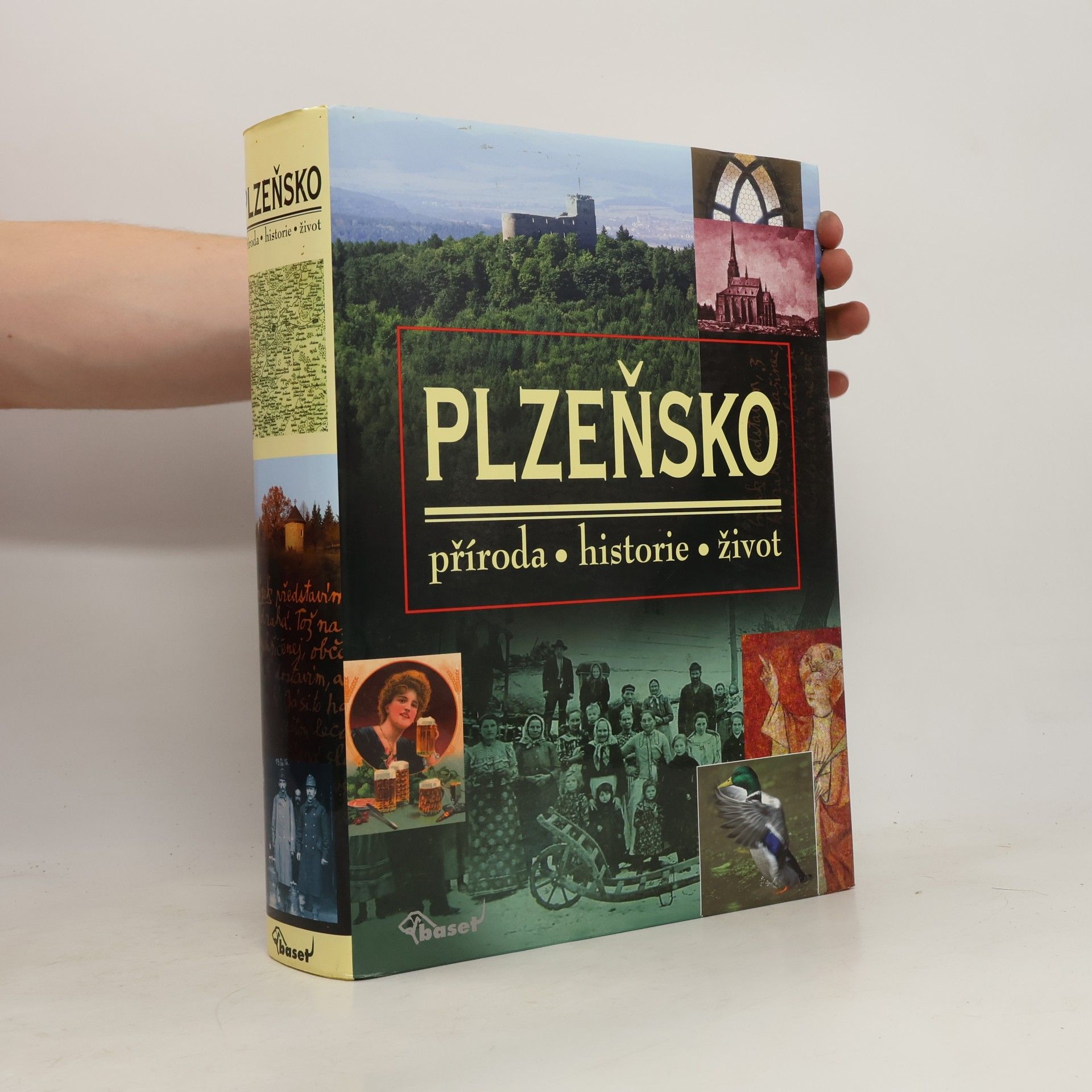 Plzeňsko – příroda, historie, život