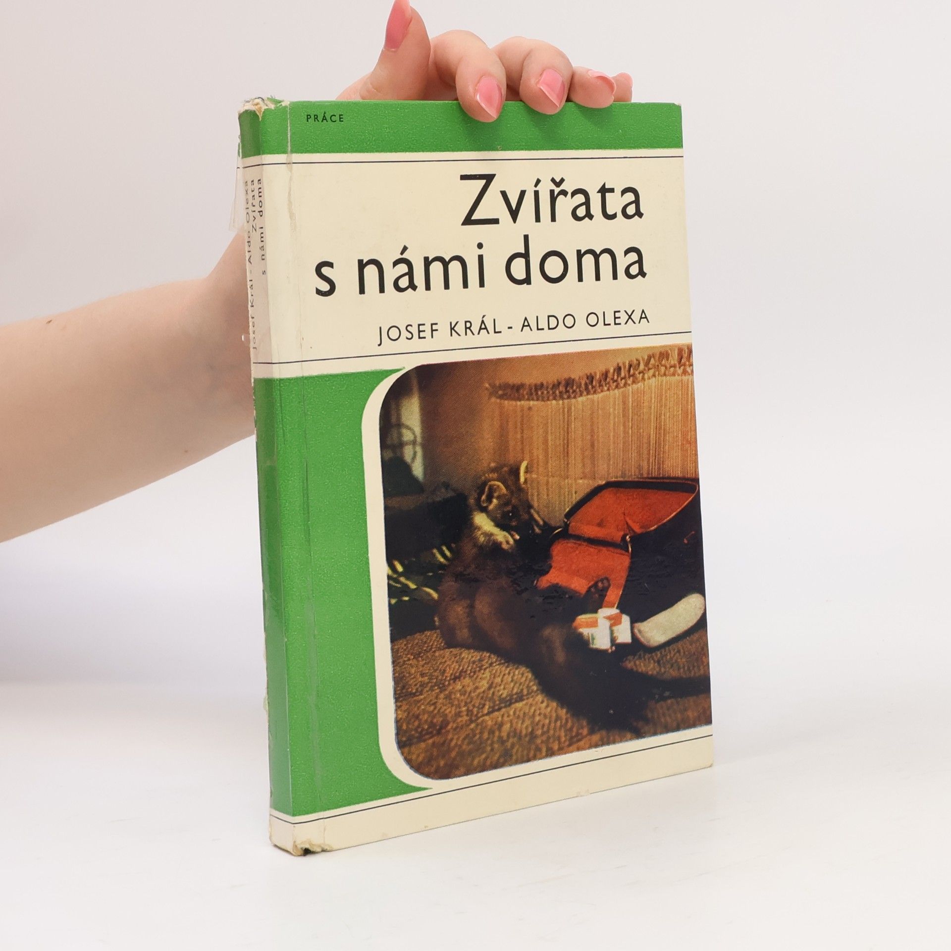 Zvířata s námi doma