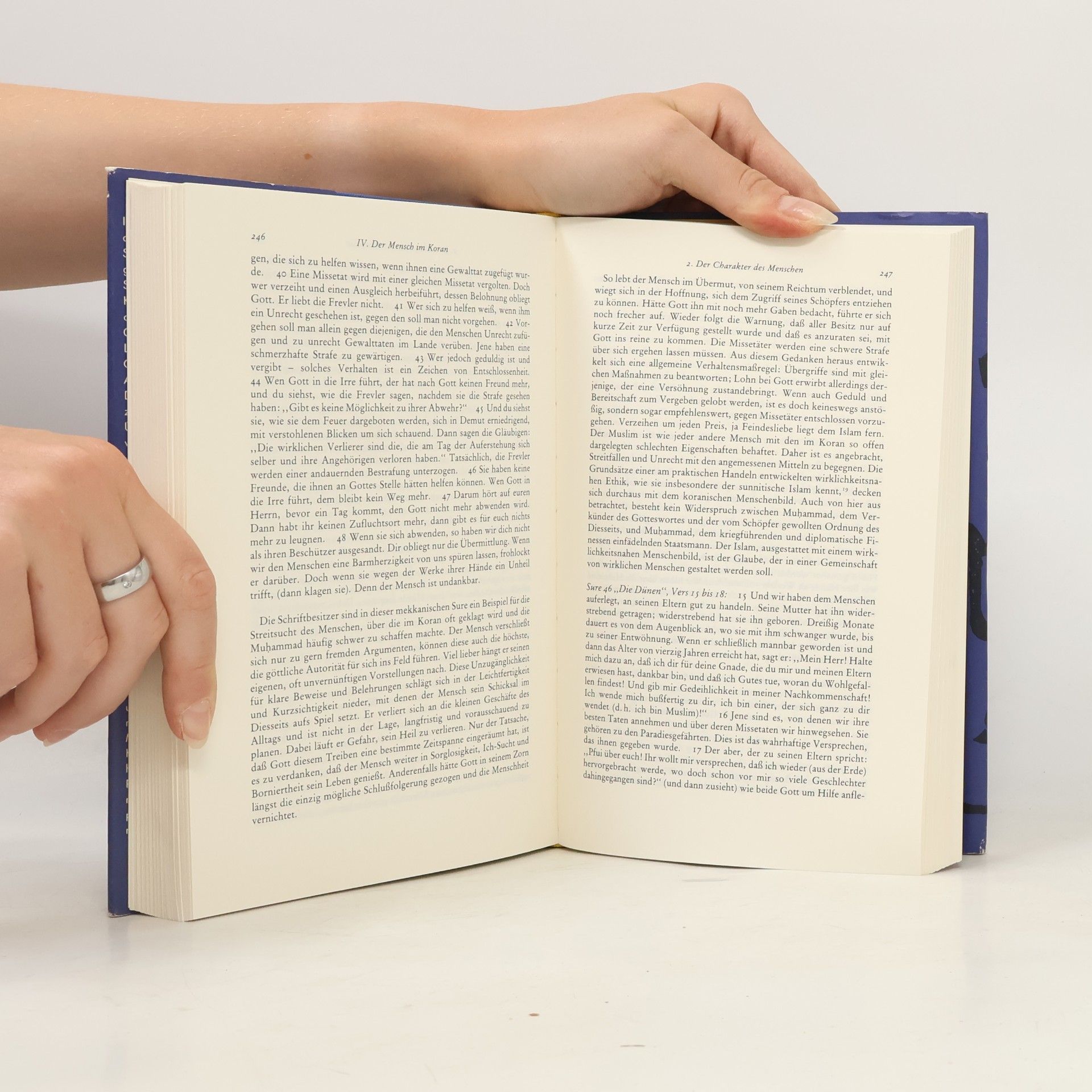 Tilman Nagel Der Koran. Einführung, Texte, Erläuterungen