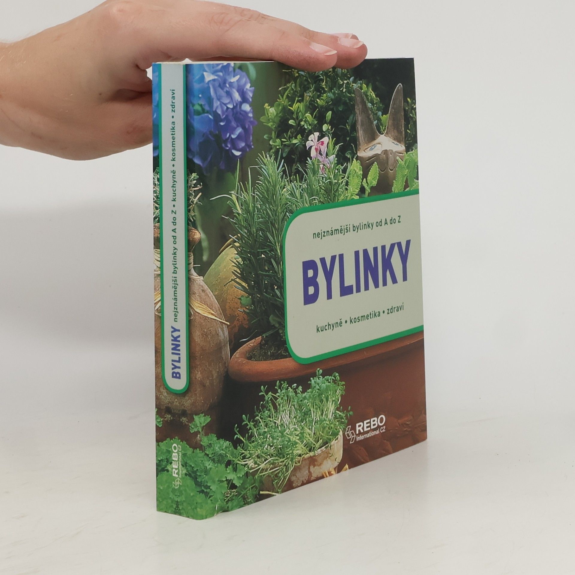 Autorenkollektiv Bylinky