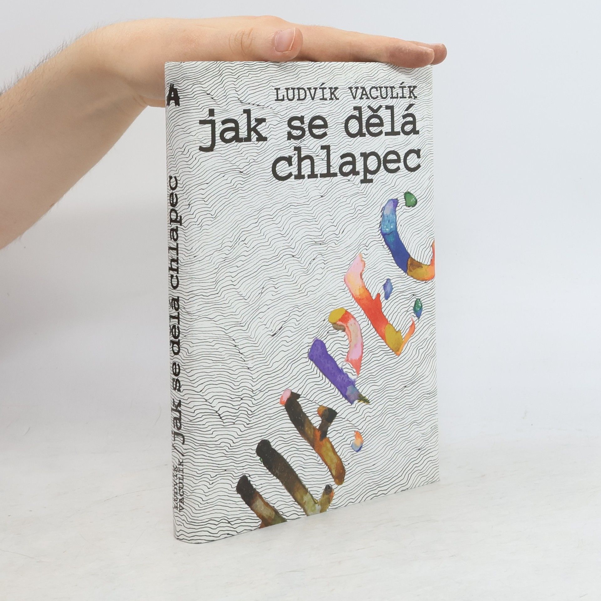 Ludvík Vaculík Jak se dělá chlapec