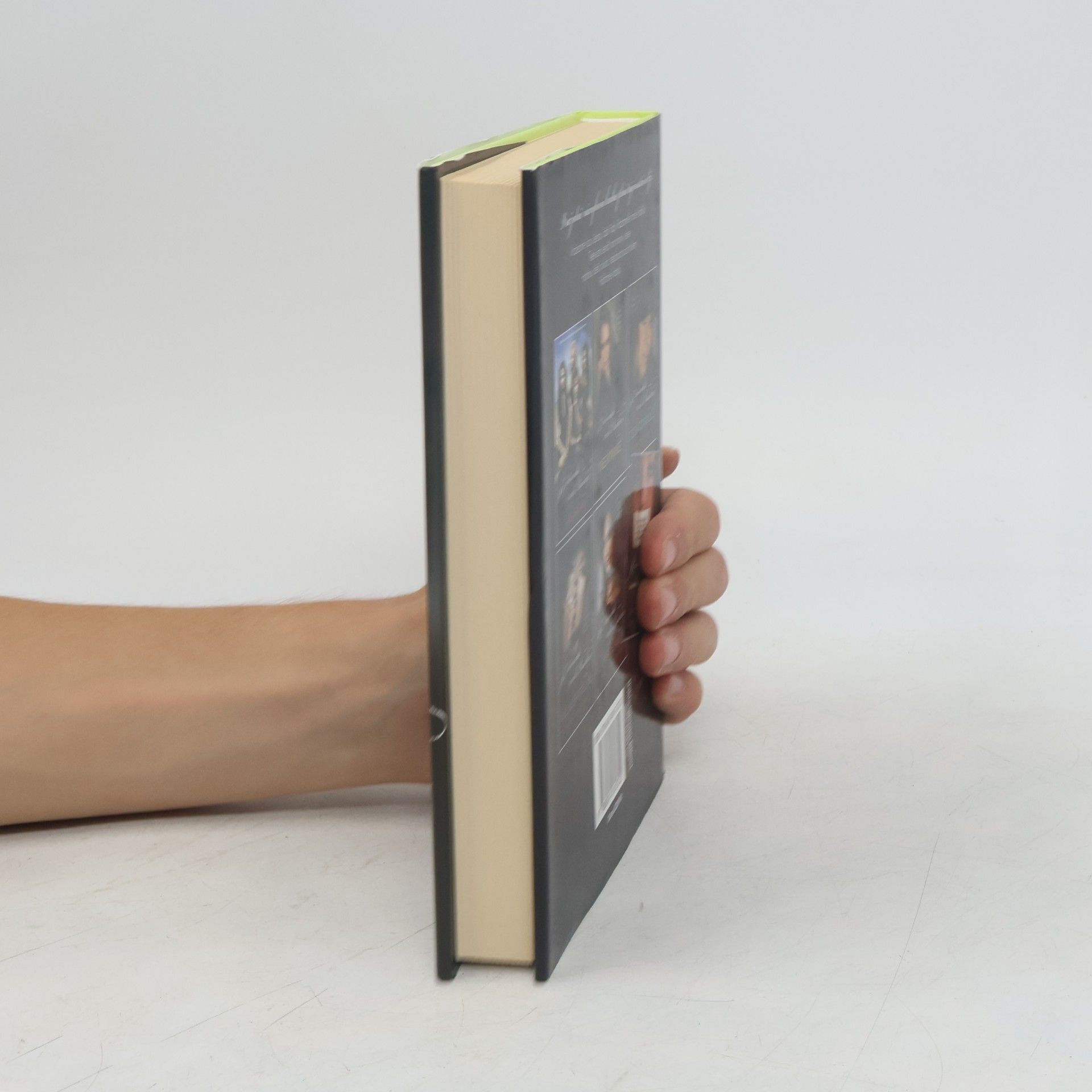 Sara Shepard Roztomilé malé lhářky: Vražedné