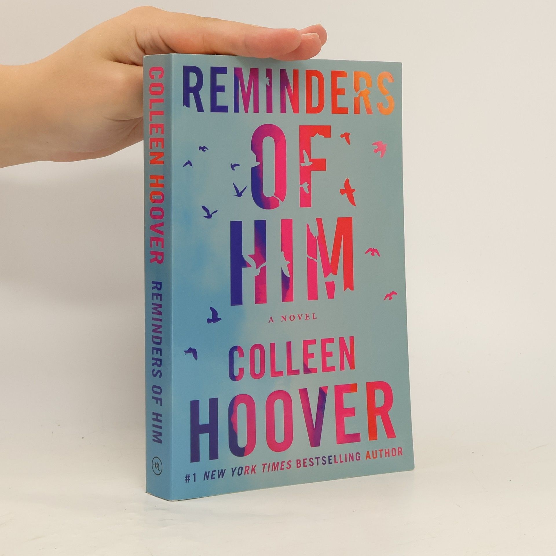 Colleen Hoover Reminders of him