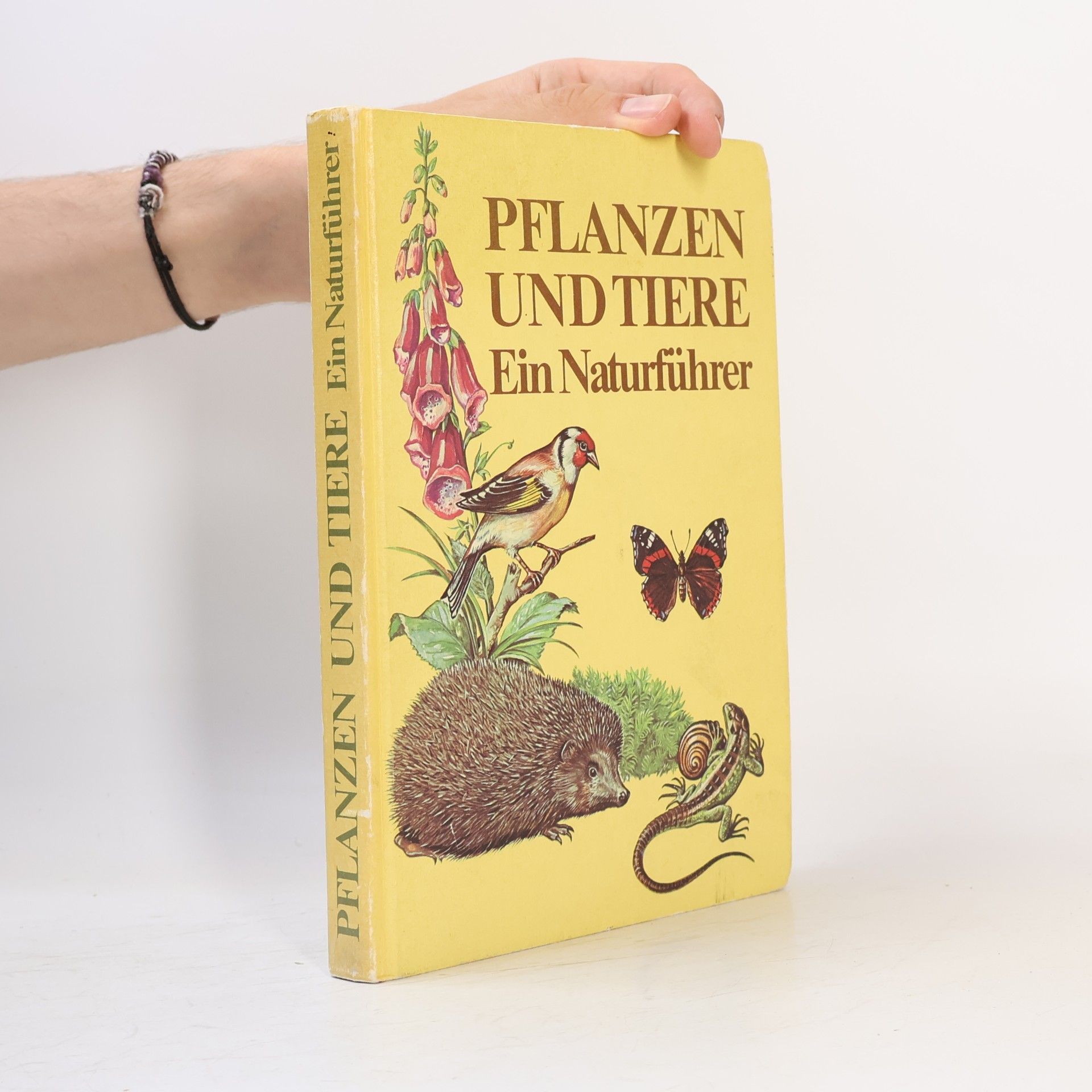 AA.VV. Pflanzen und Tiere. Ein Naturführer