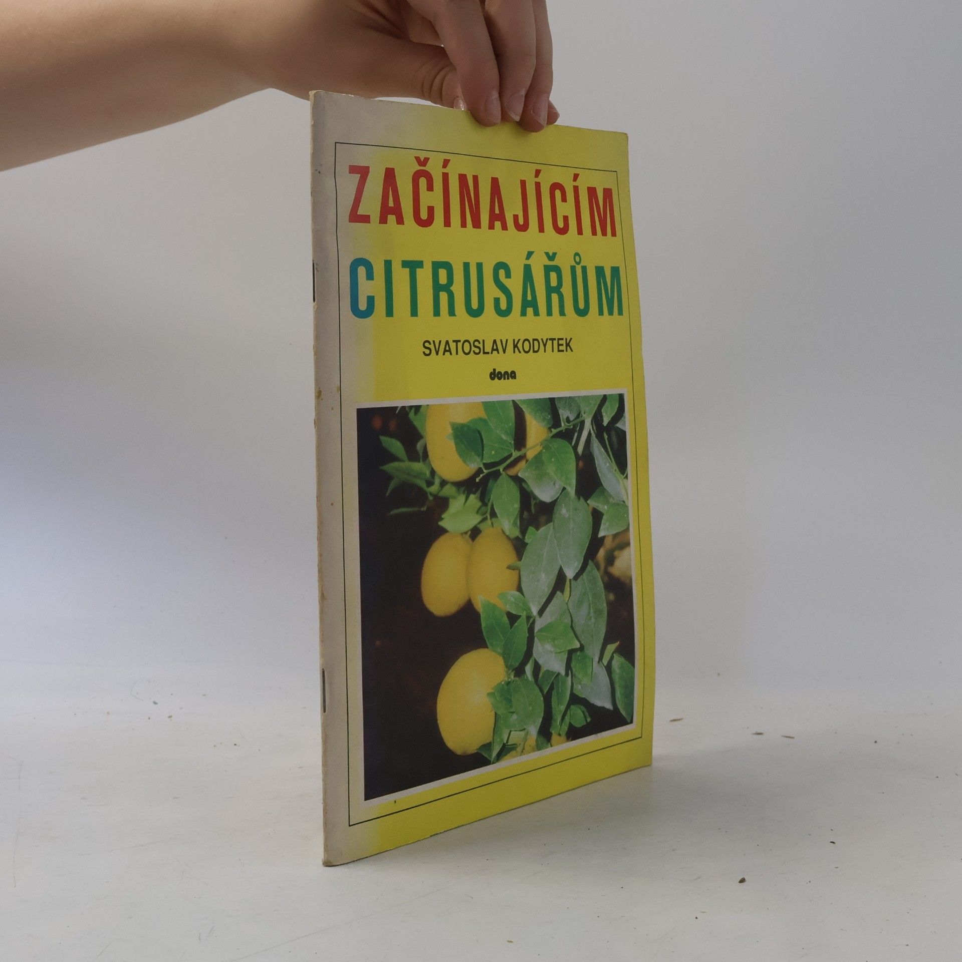 Svatoslav Kodytek Začínajícím citrusářům