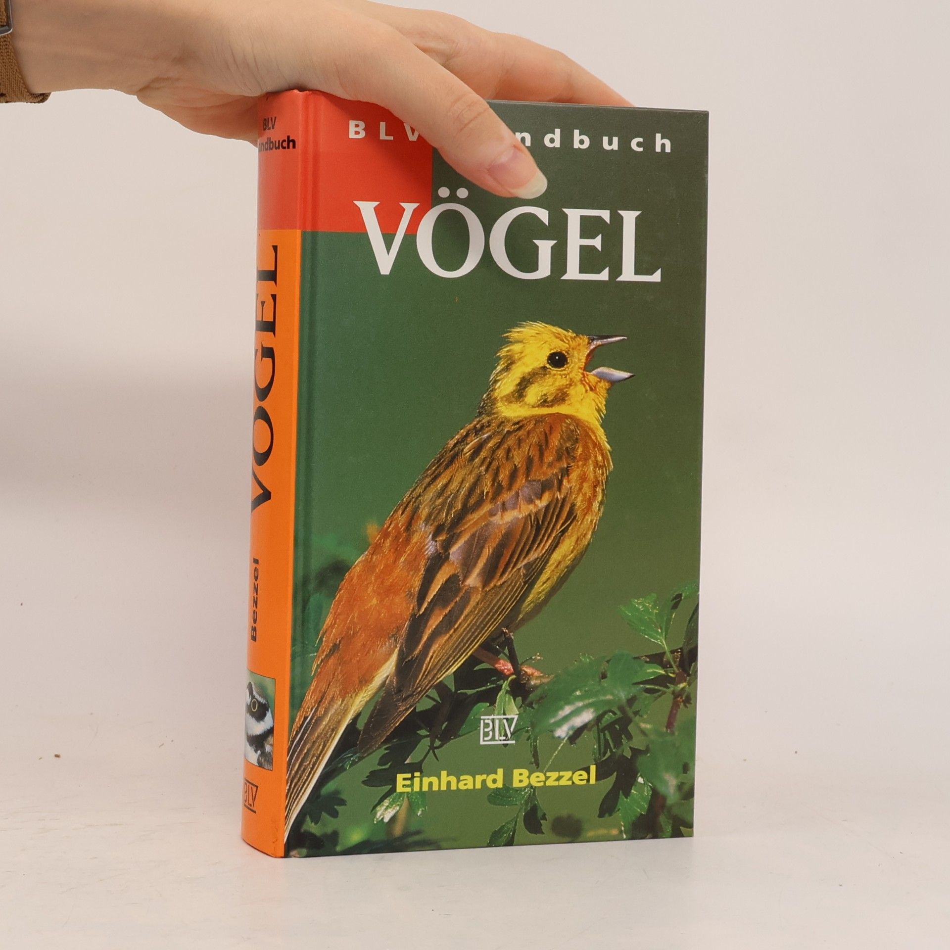 BLV-Handbuch Vögel