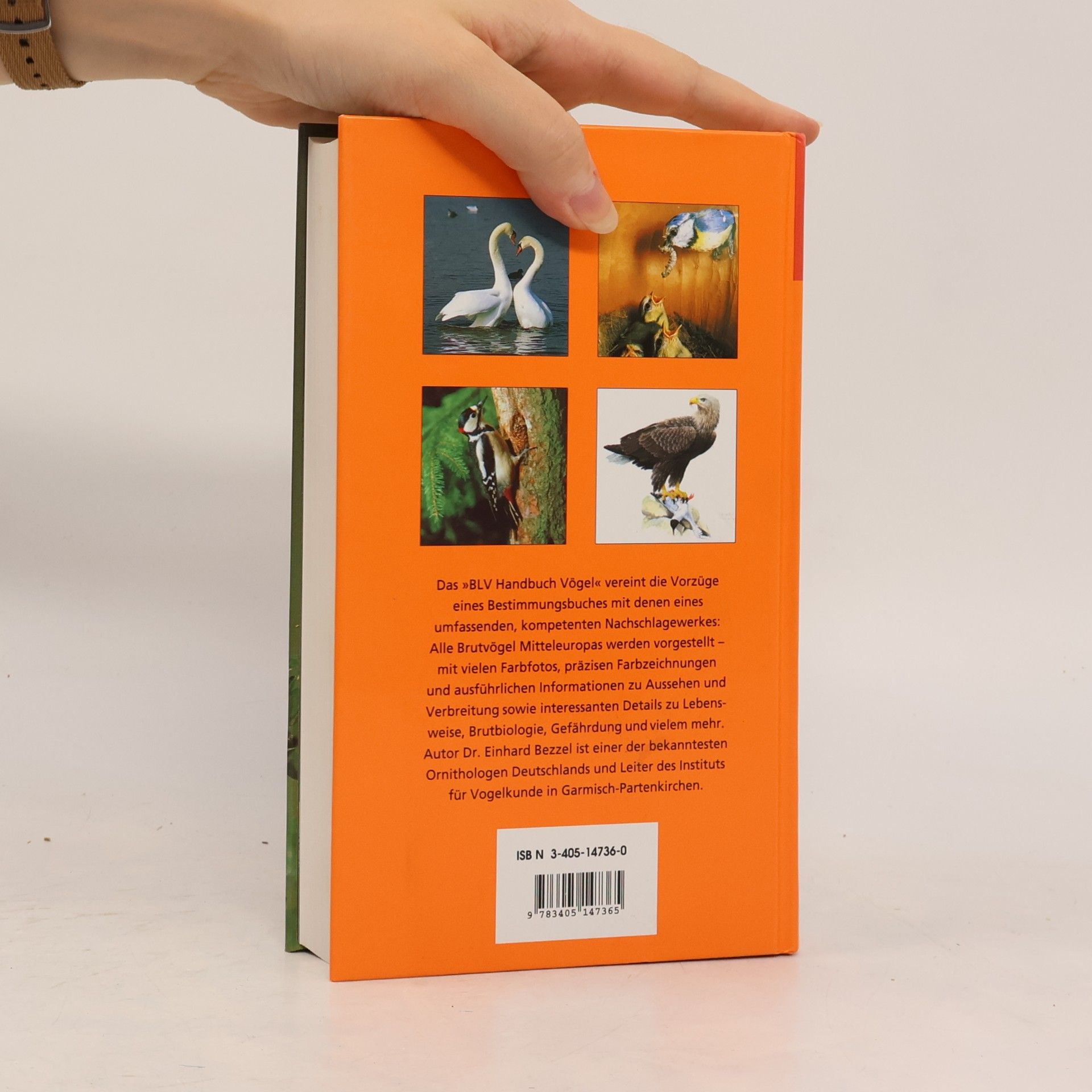Einhard Bezzel BLV-Handbuch Vögel