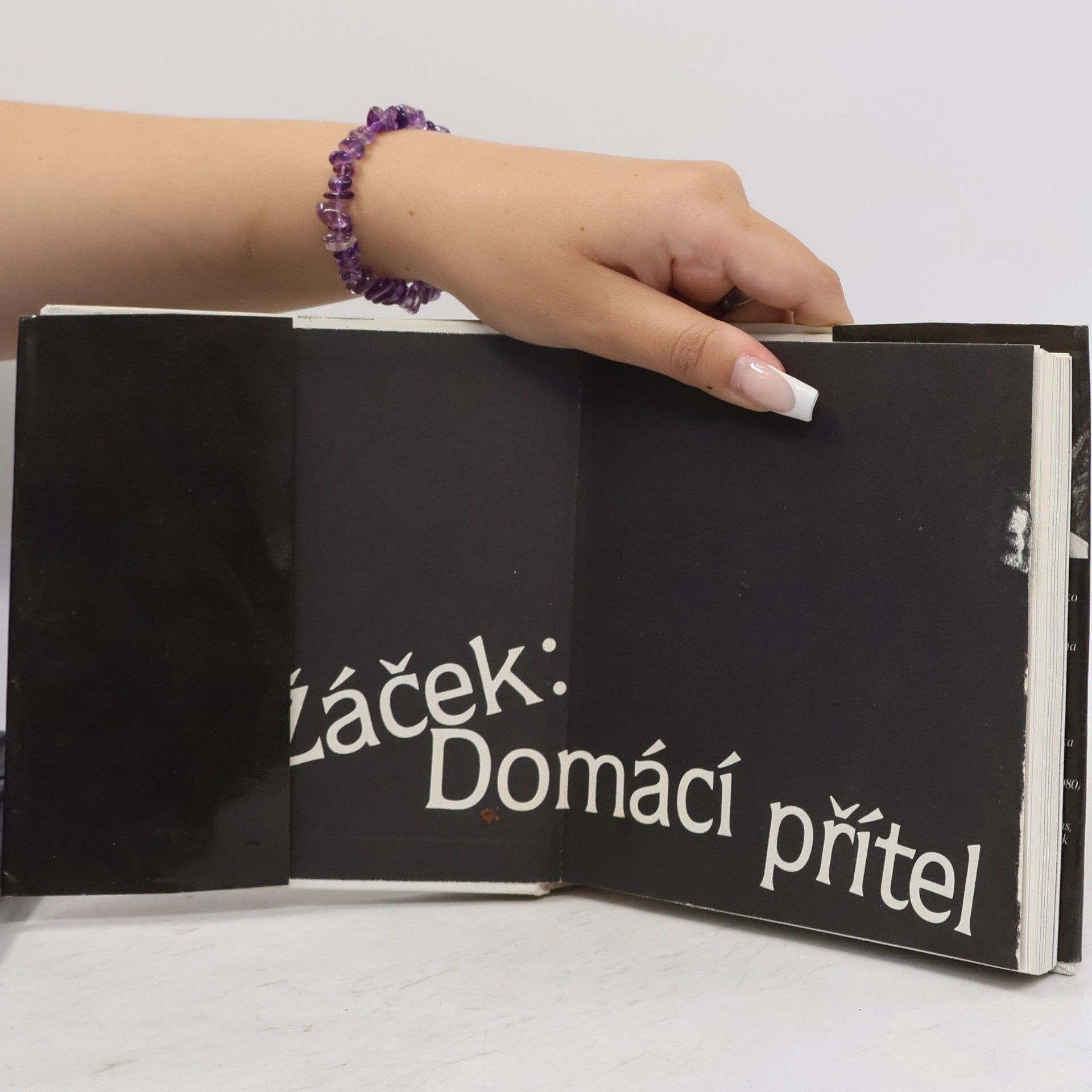 Jiří Žáček Domácí přítel