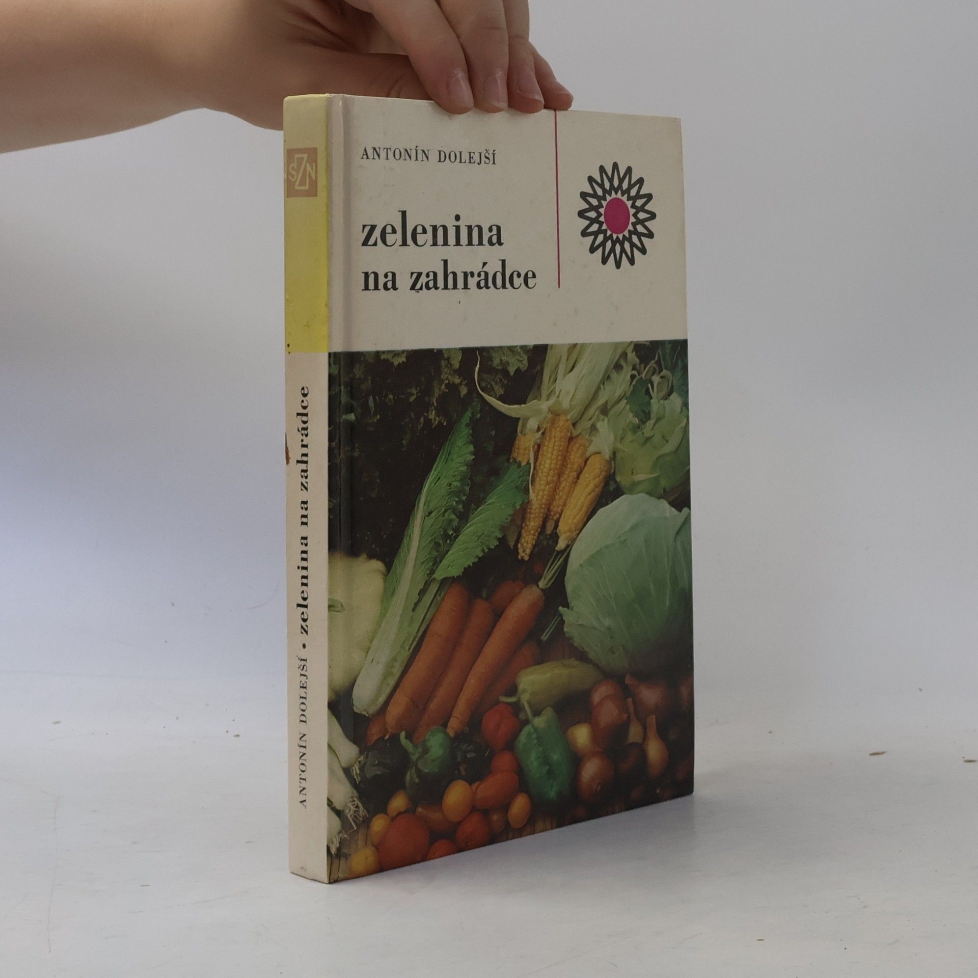 Antonín Dolejší Zelenina na zahrádce