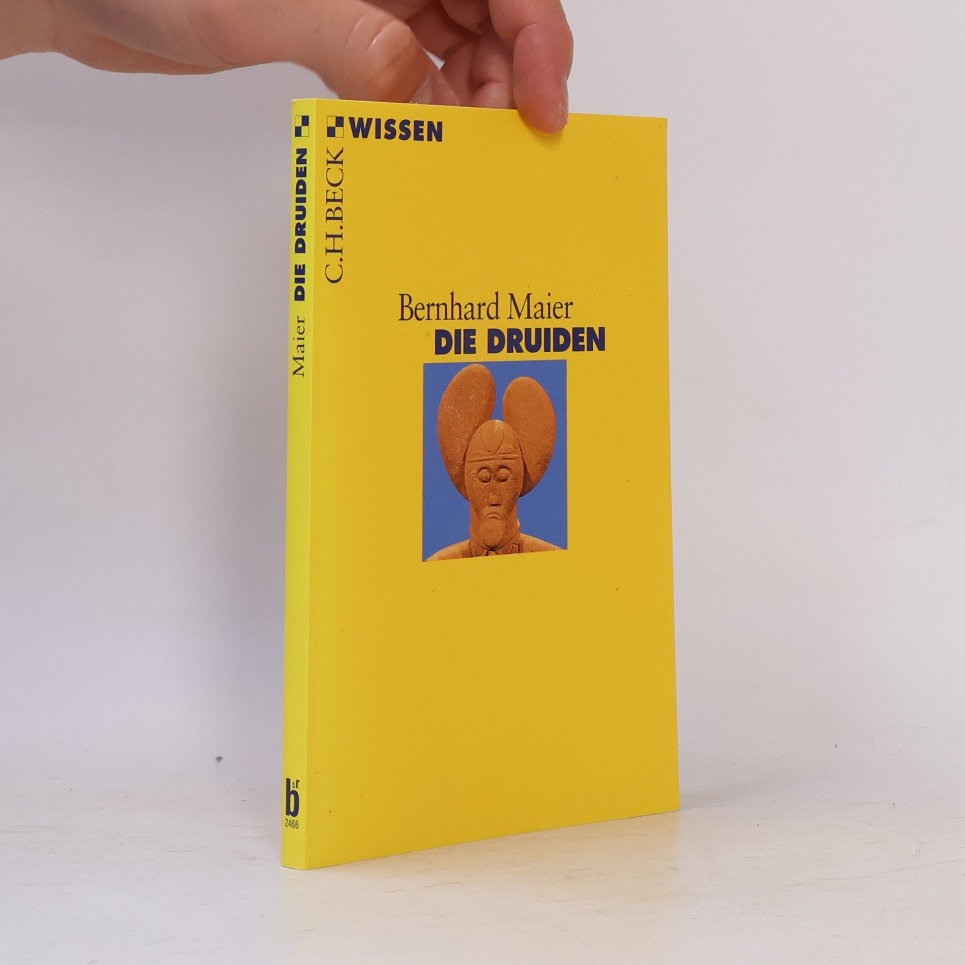 Bernhard Maier Die Druiden