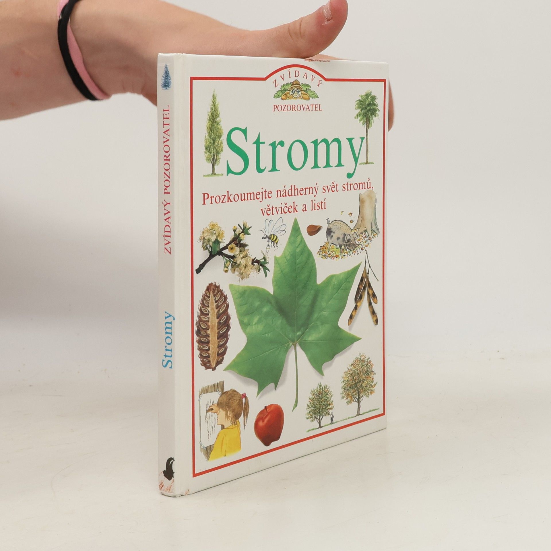 Linda Gamlin Stromy