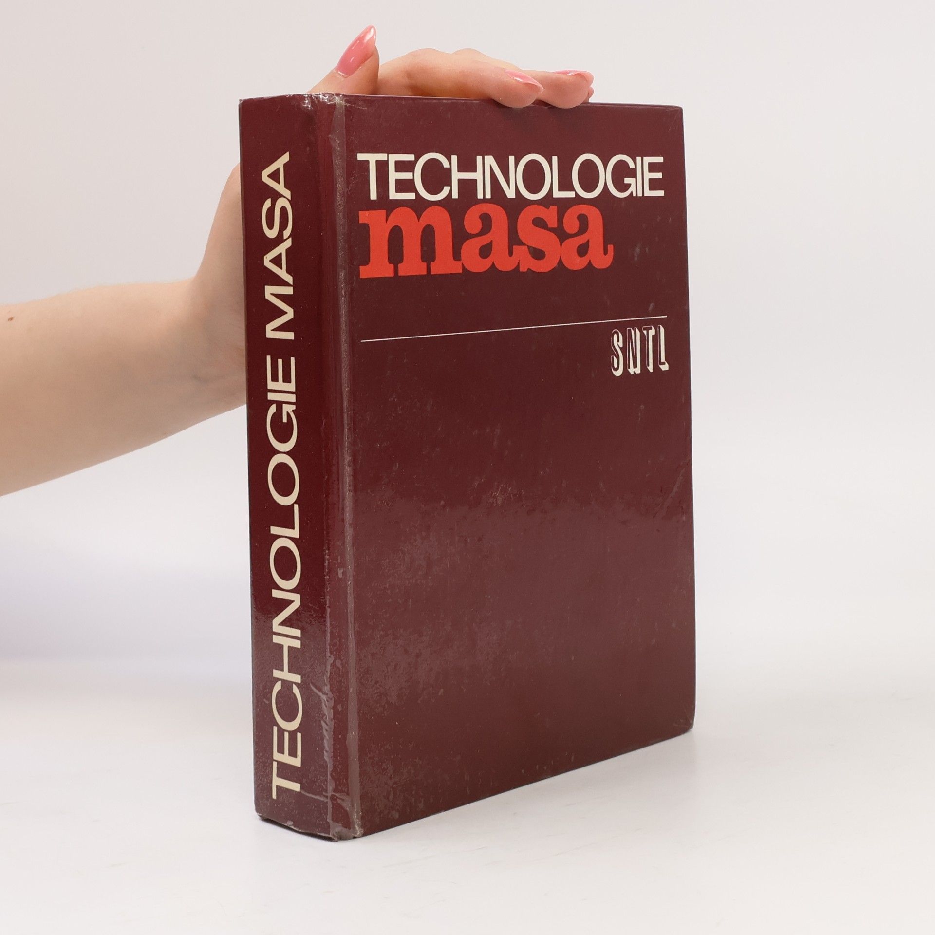 Kolektiv autorů Technologie masa