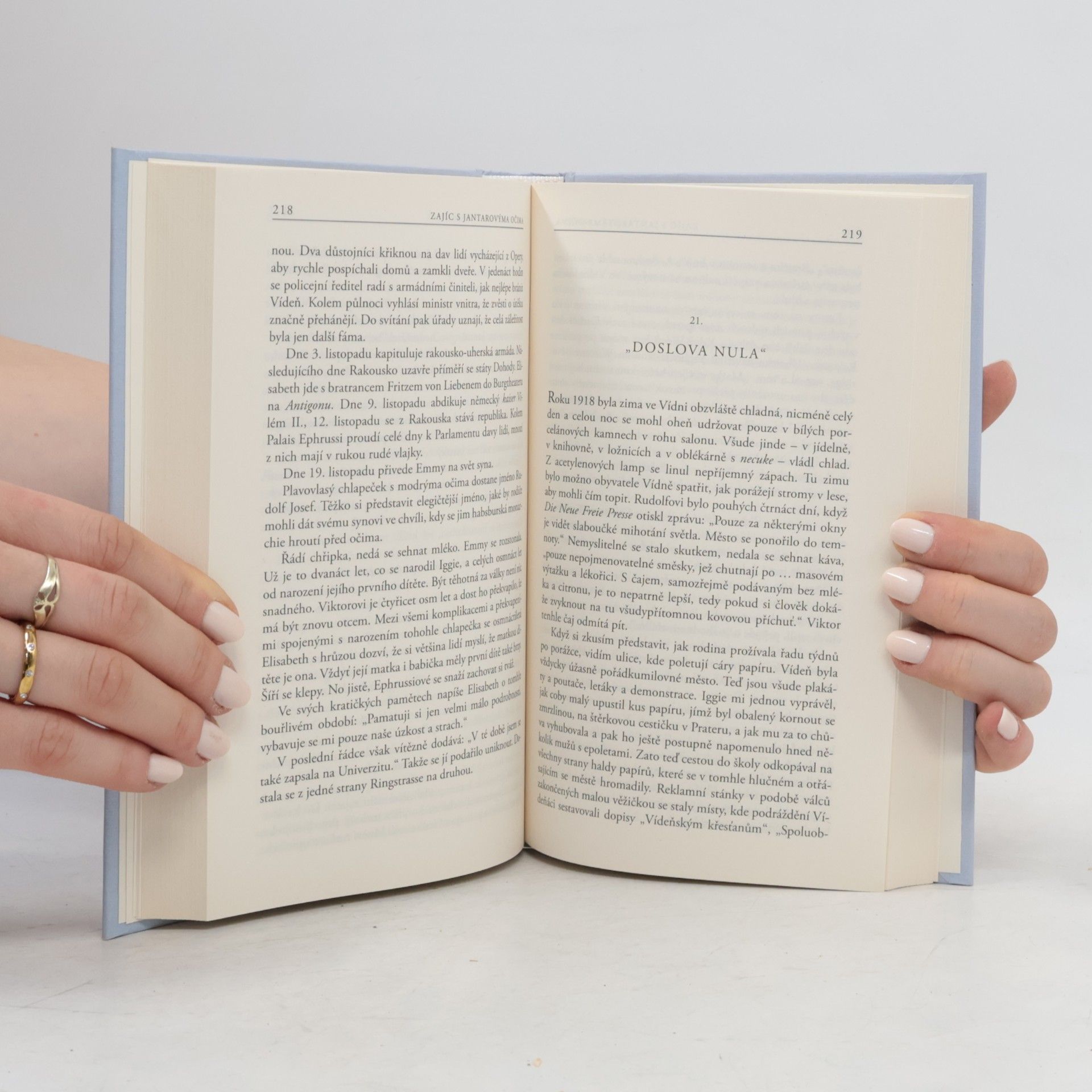 Edmund de Waal Zajíc s jantarovýma očima