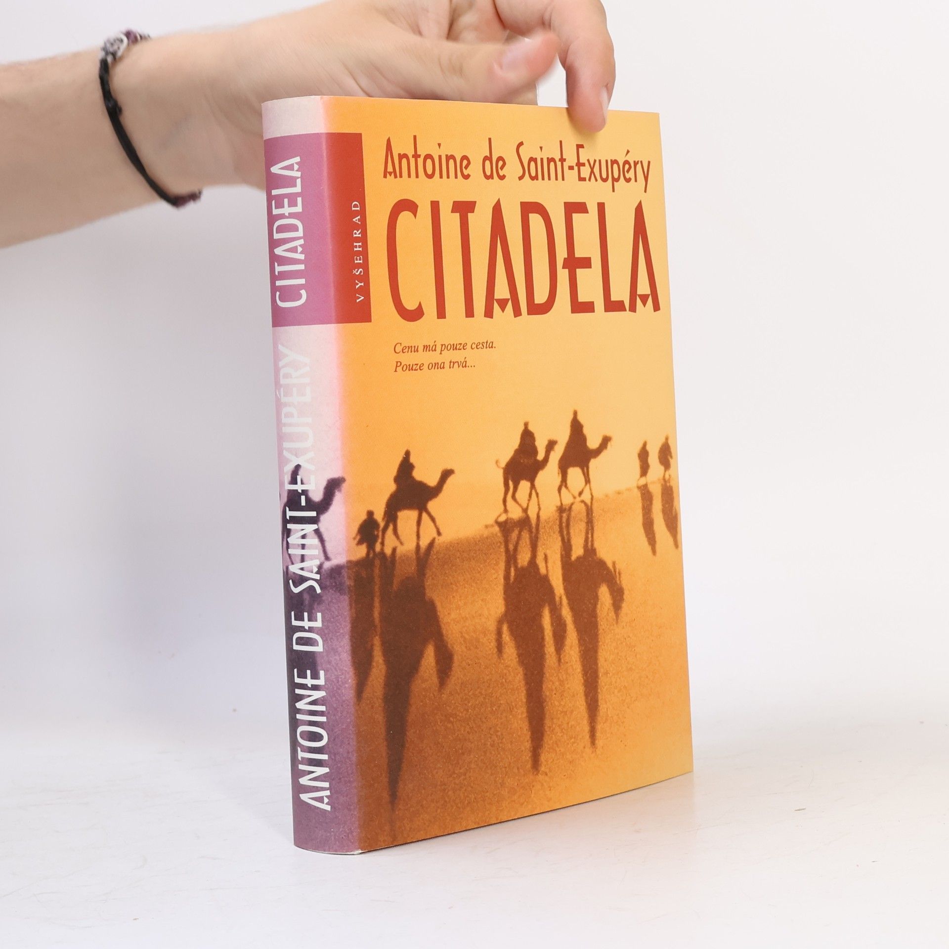 Antoine de Saint-Exupéry Citadela