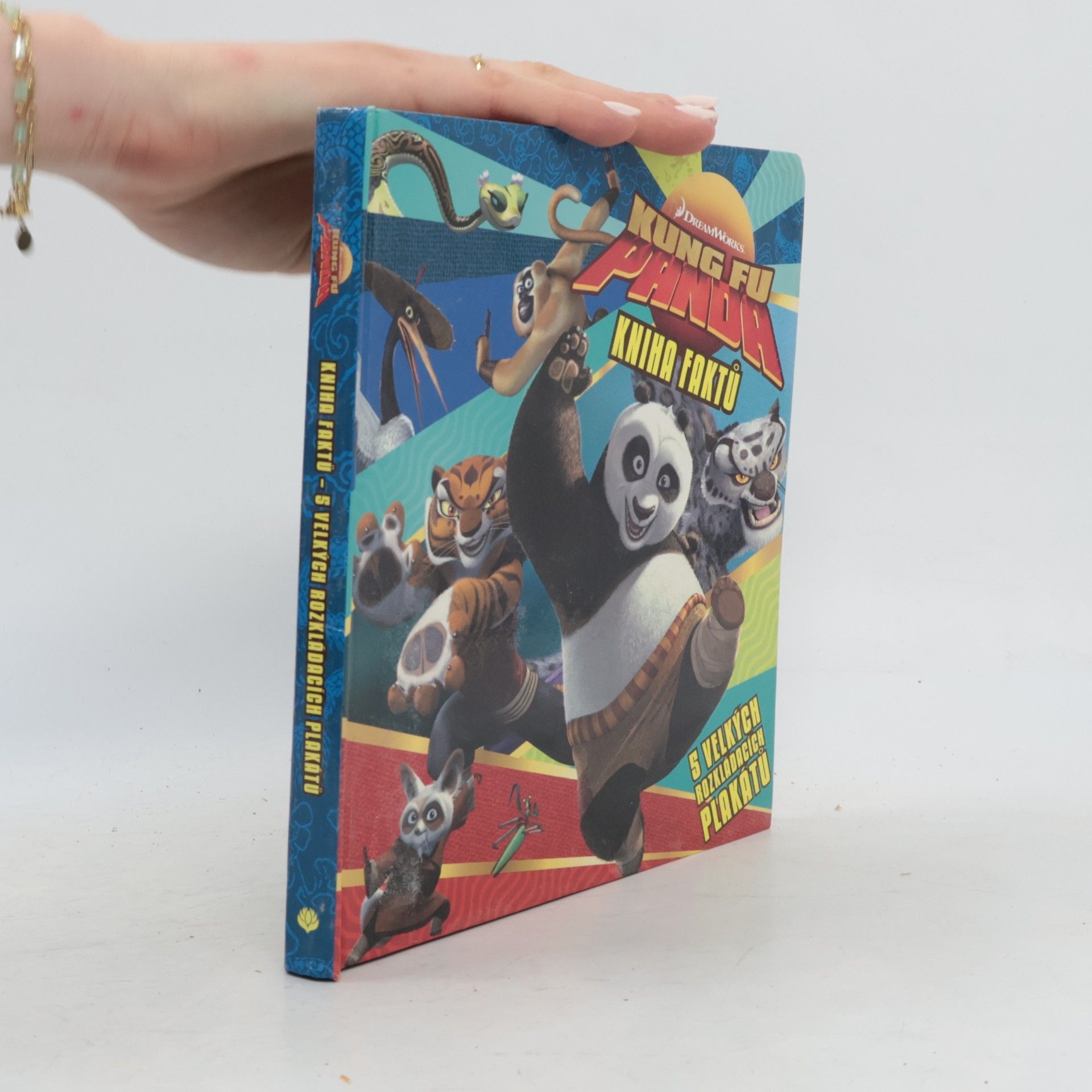 Kung Fu Panda : kniha faktů