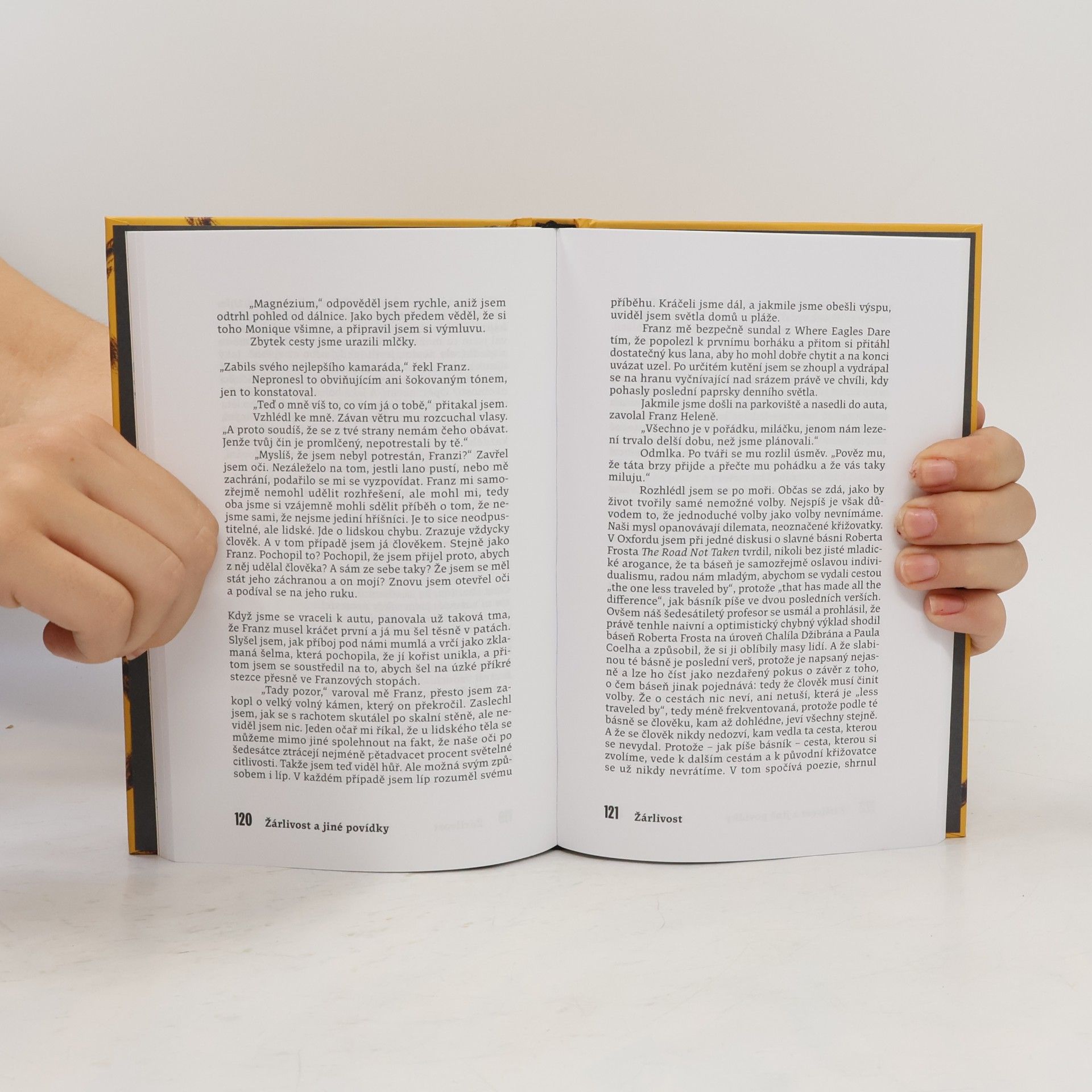 Jo Nesbø Žárlivost a jiné povídky