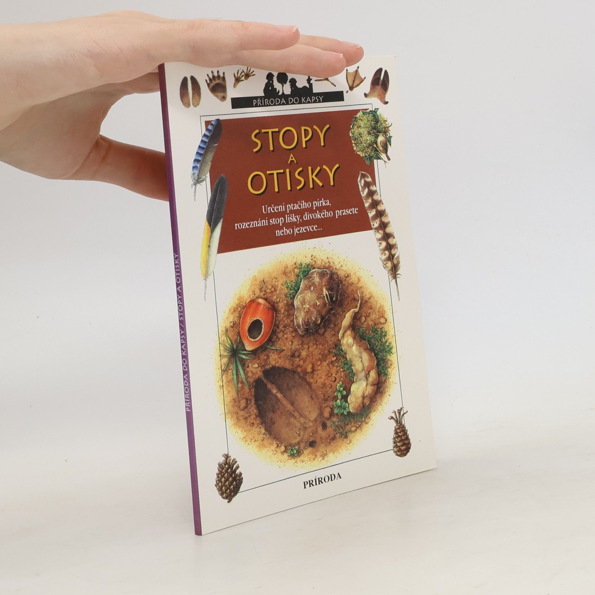 Catherine Fichaux Stopy a otisky
