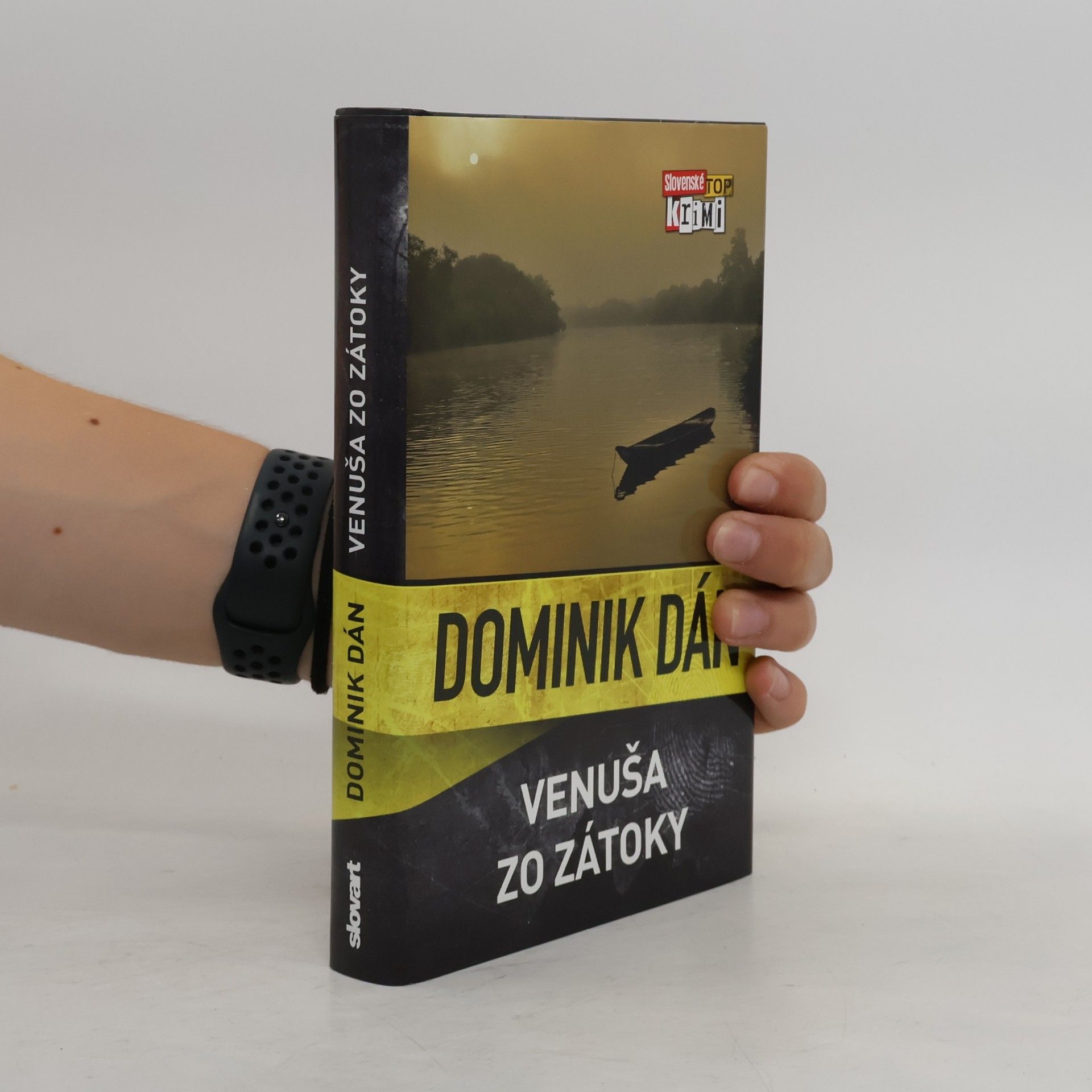 Dominik Dán Venuša zo zátoky