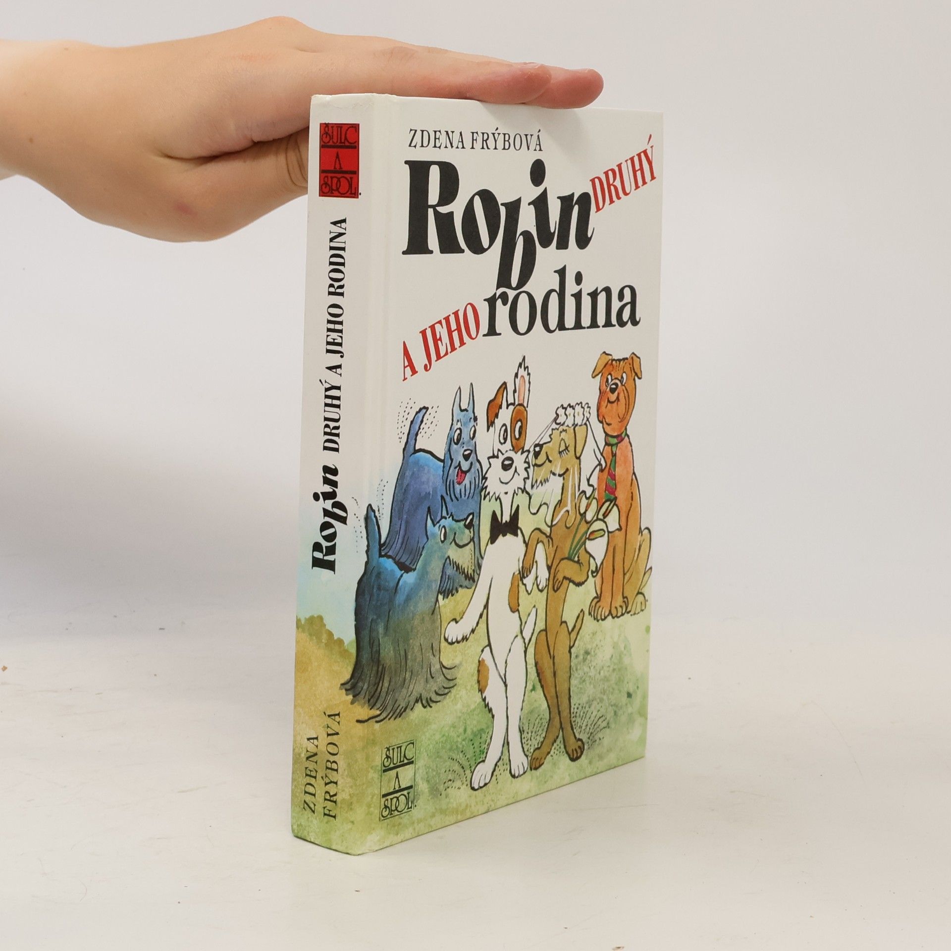 Zdena Frýbová Robin Druhý a jeho rodina