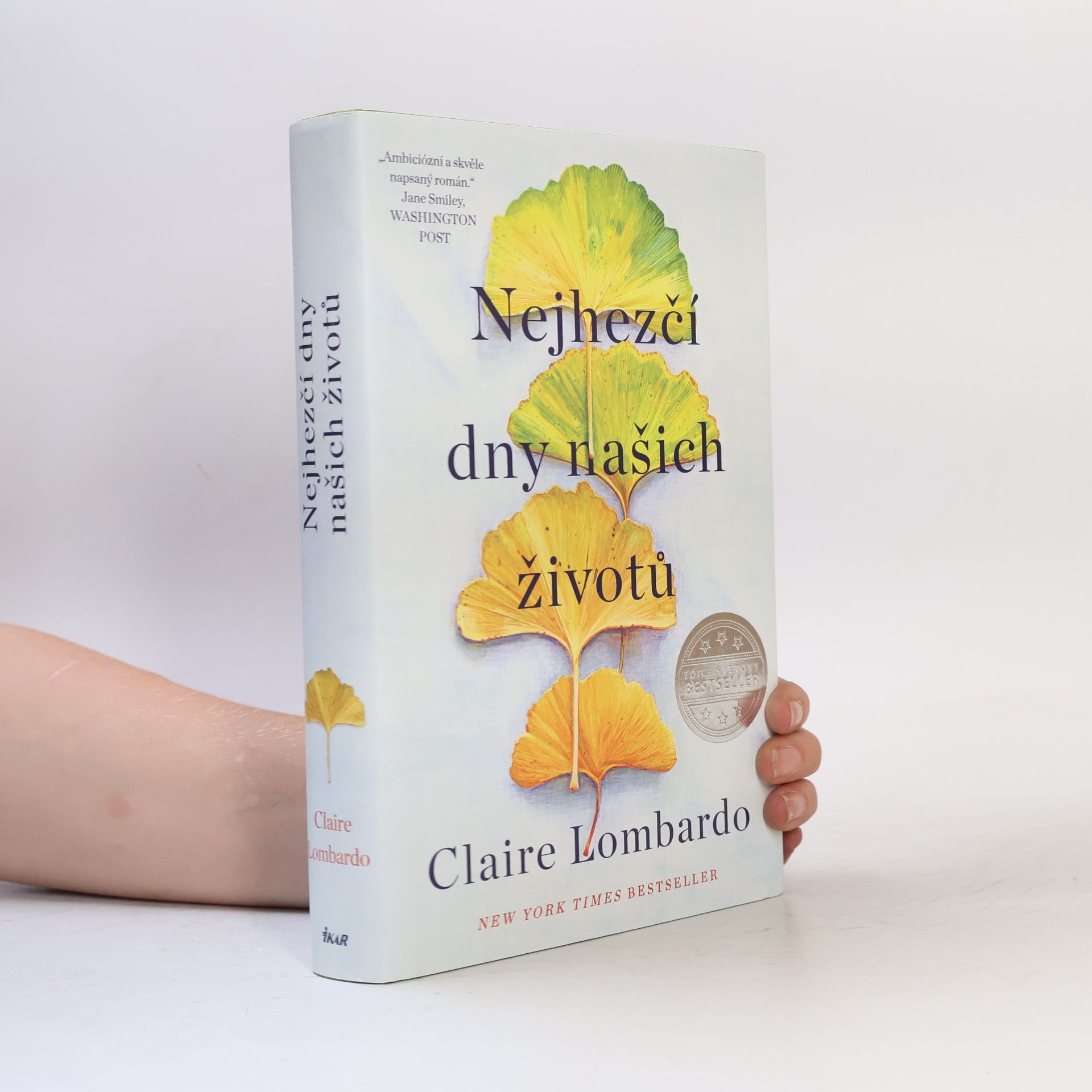 Claire Lombardo Nejhezčí dny našich životů