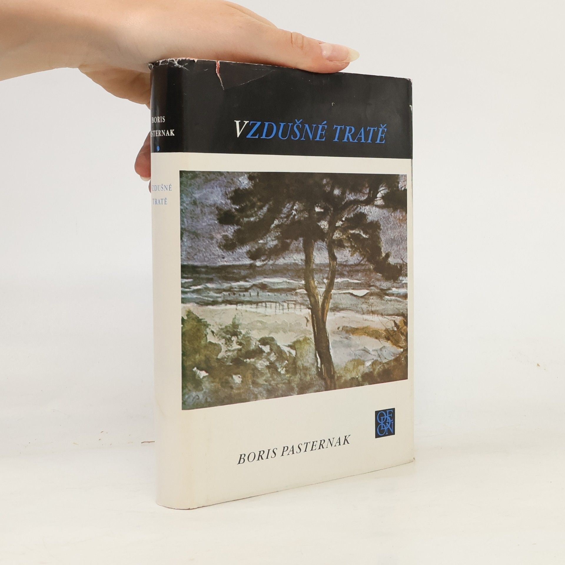 Pasternak Boris Vzdušné tratě