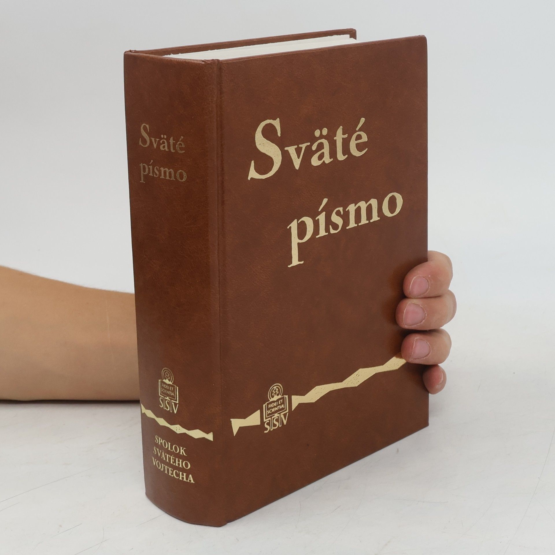 Kolektiv autorů Sväté písmo Starého i Nového zákona