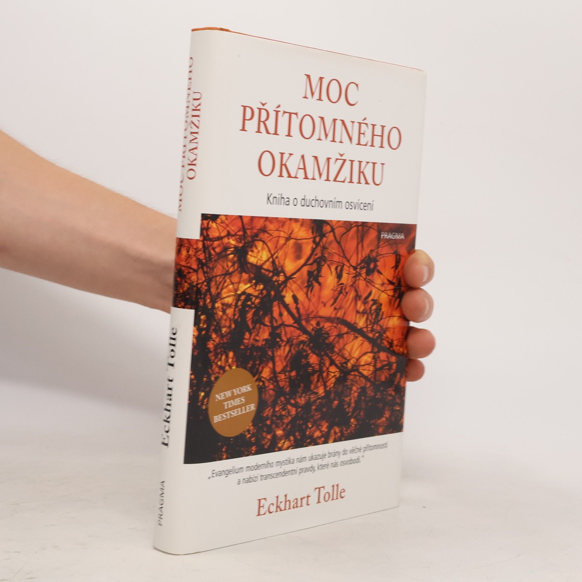 Eckhart Tolle Moc přítomného okamžiku