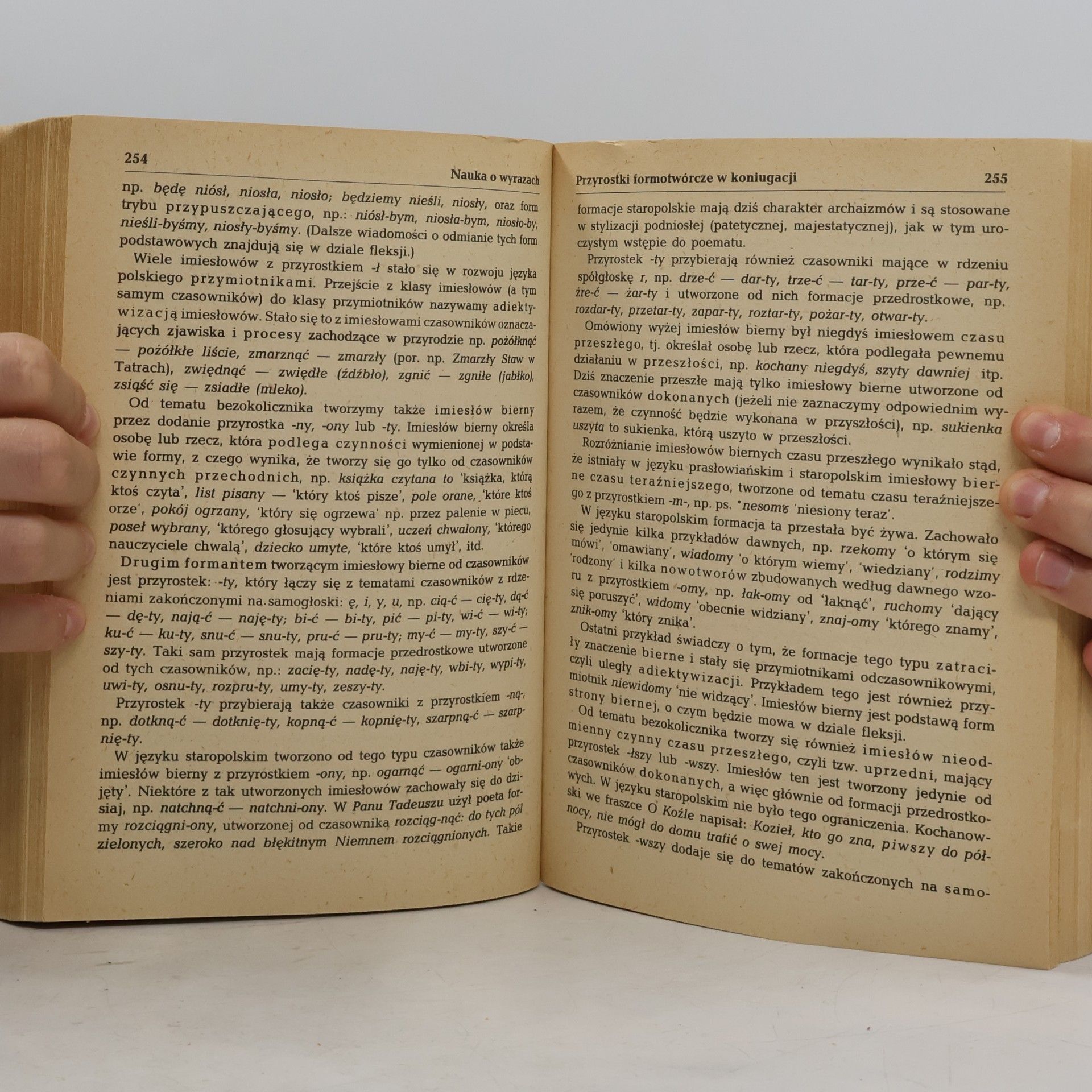 Piotr Bąk Gramatyka języka polskiego
