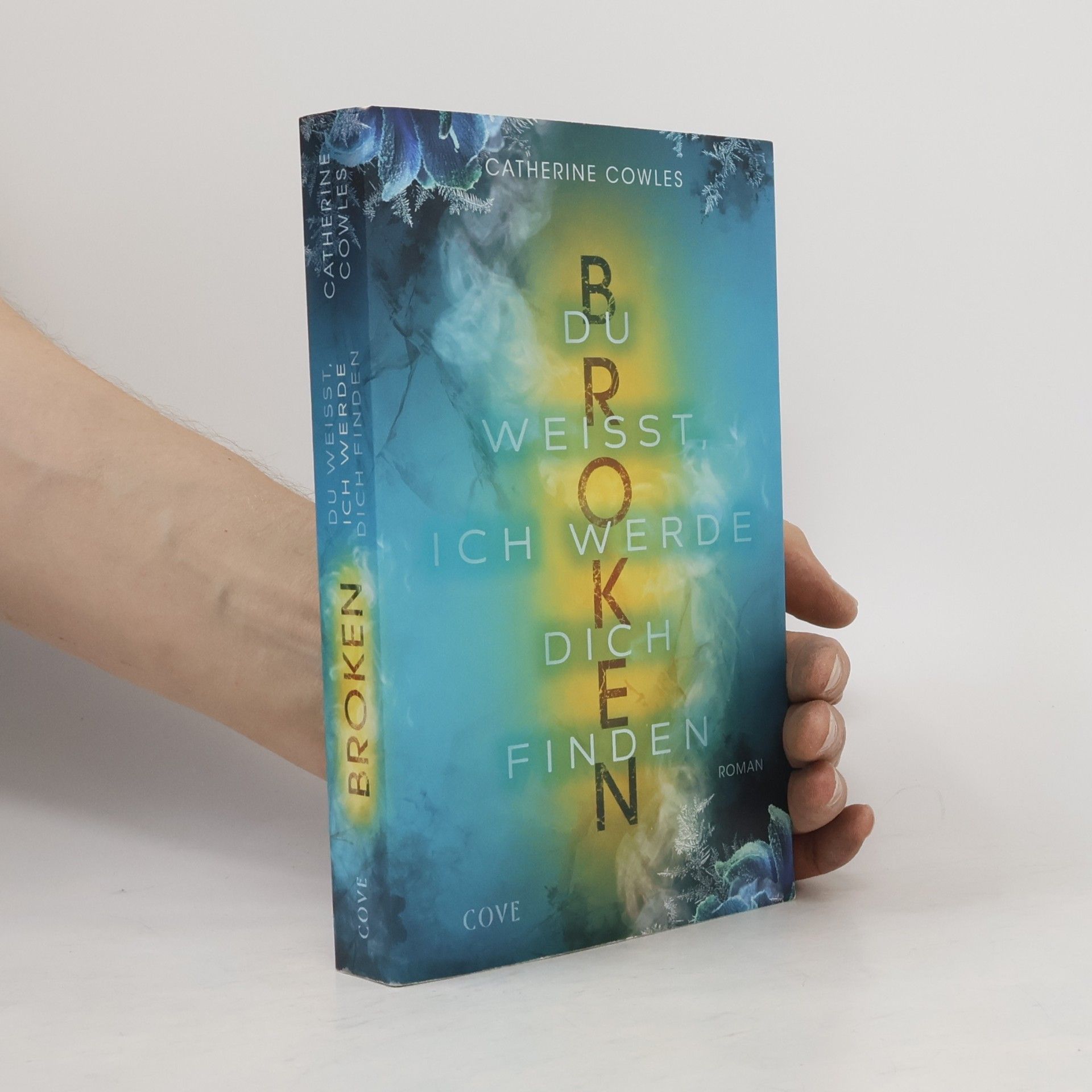 Catherine Cowles Sparrow Falls - 3: Broken. Du weißt, ich werde dich finden