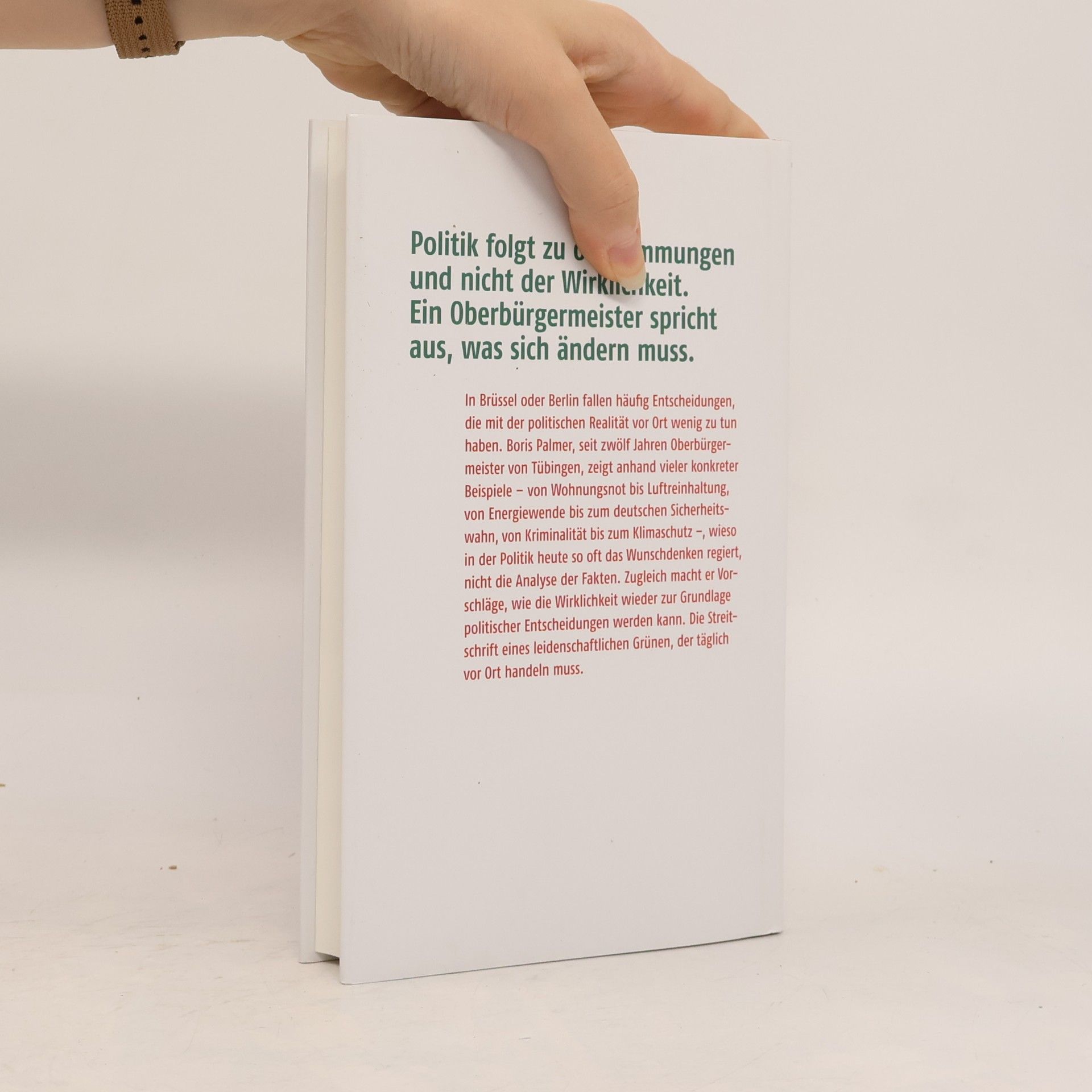 Boris Palmer Erst die Fakten, dann die Moral