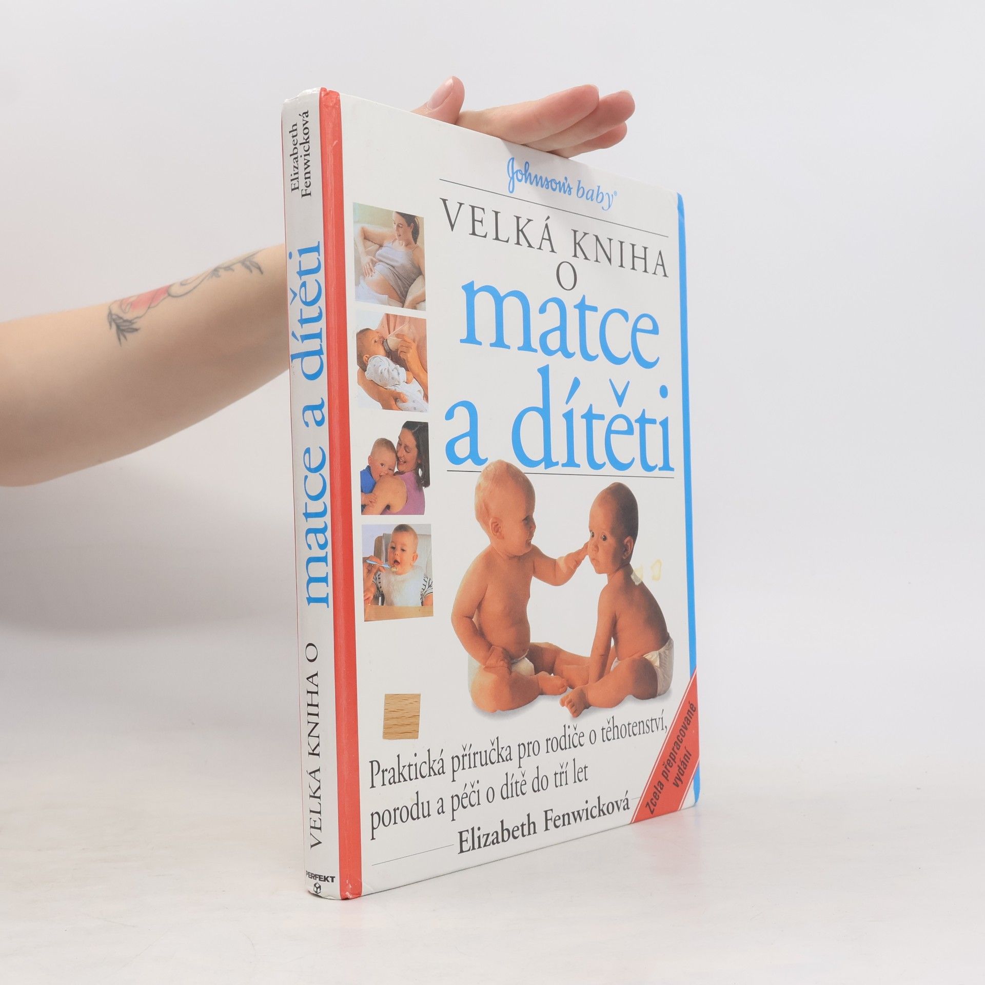 Elizabeth Fenwick Velká kniha o matce a dítěti