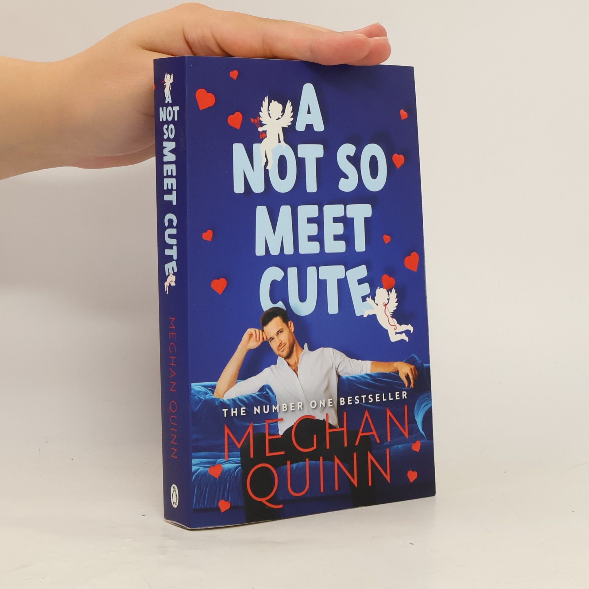 Meghan Quinn A Not So Meet Cute