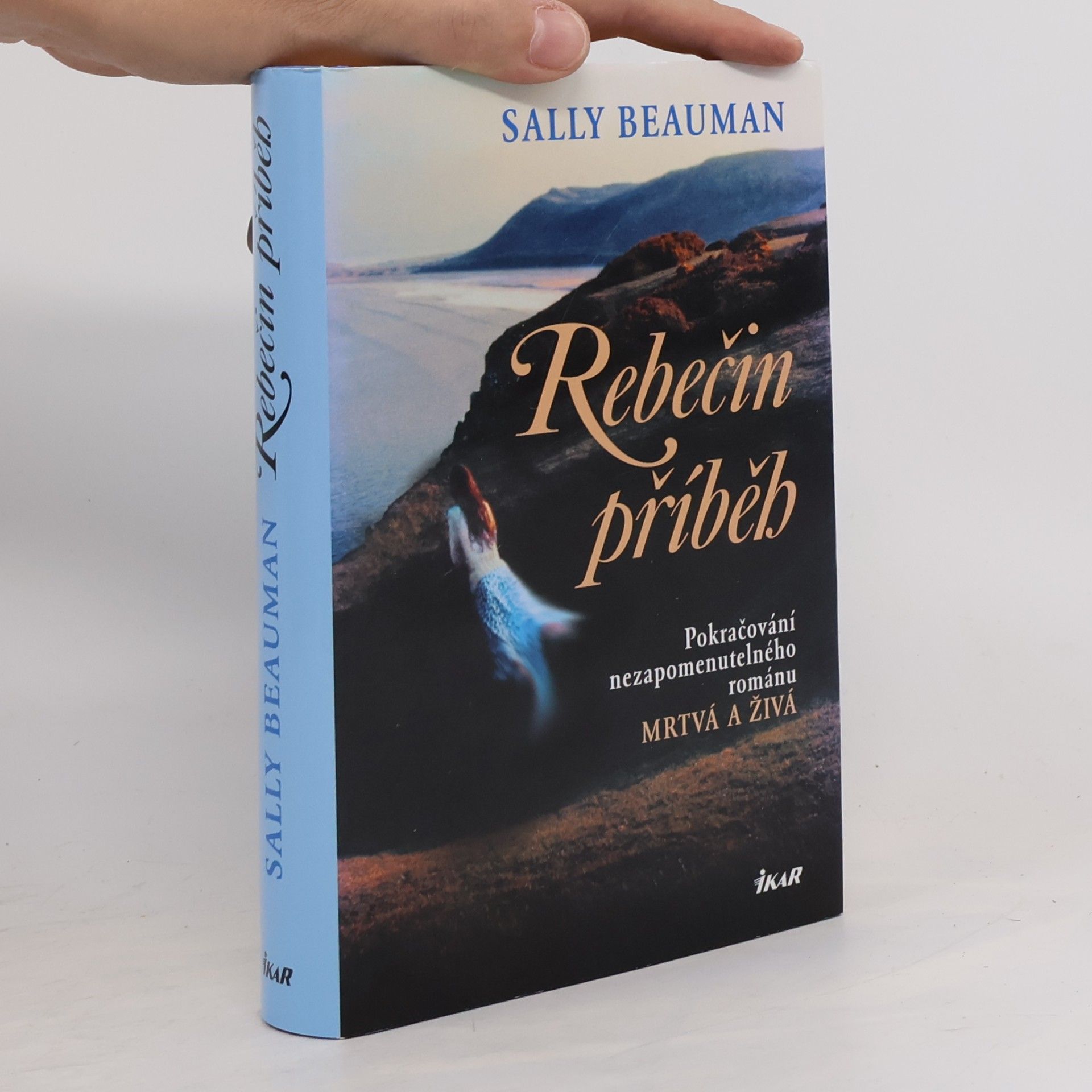 Sally Beauman Rebečin příběh