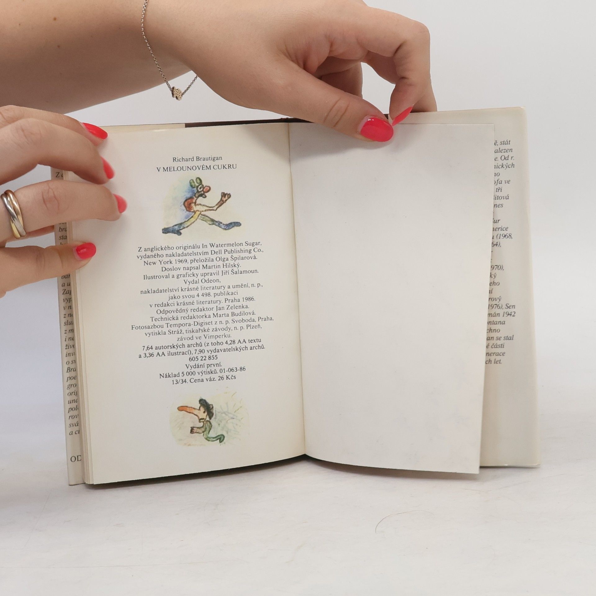 Richard Brautigan V melounovém cukru