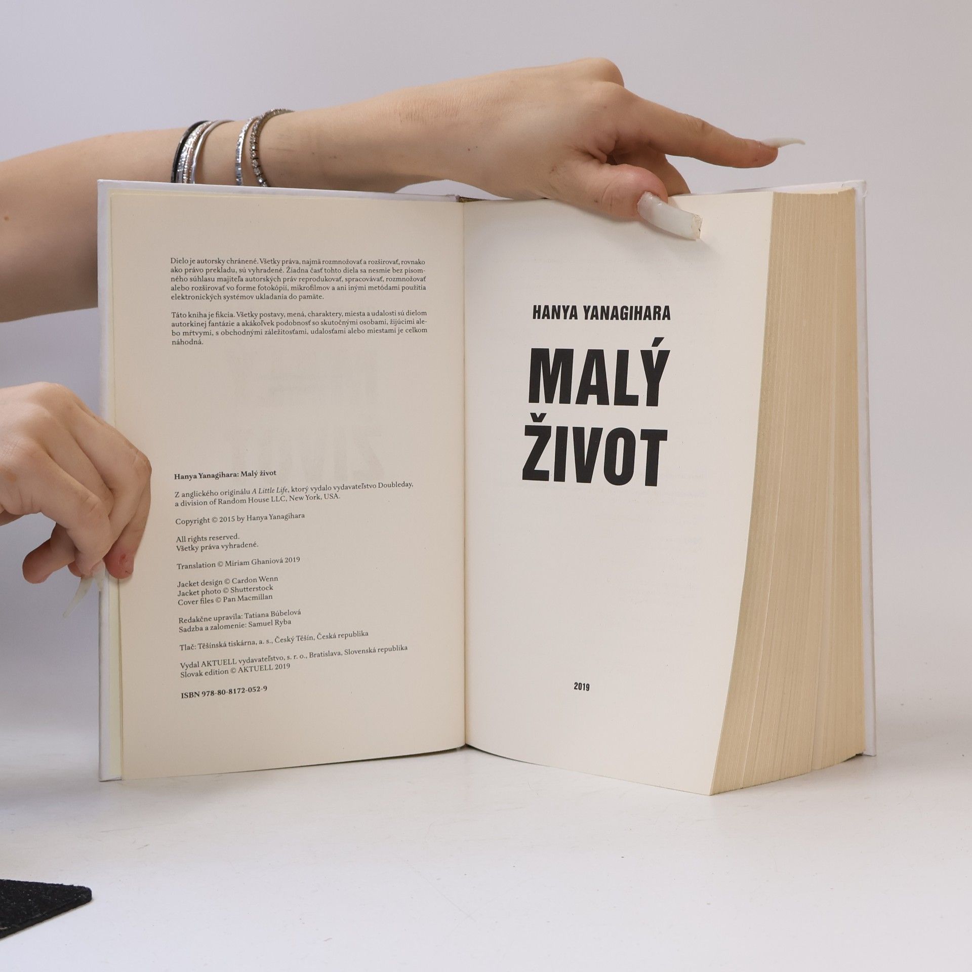 Hanya Yanagihara Malý život