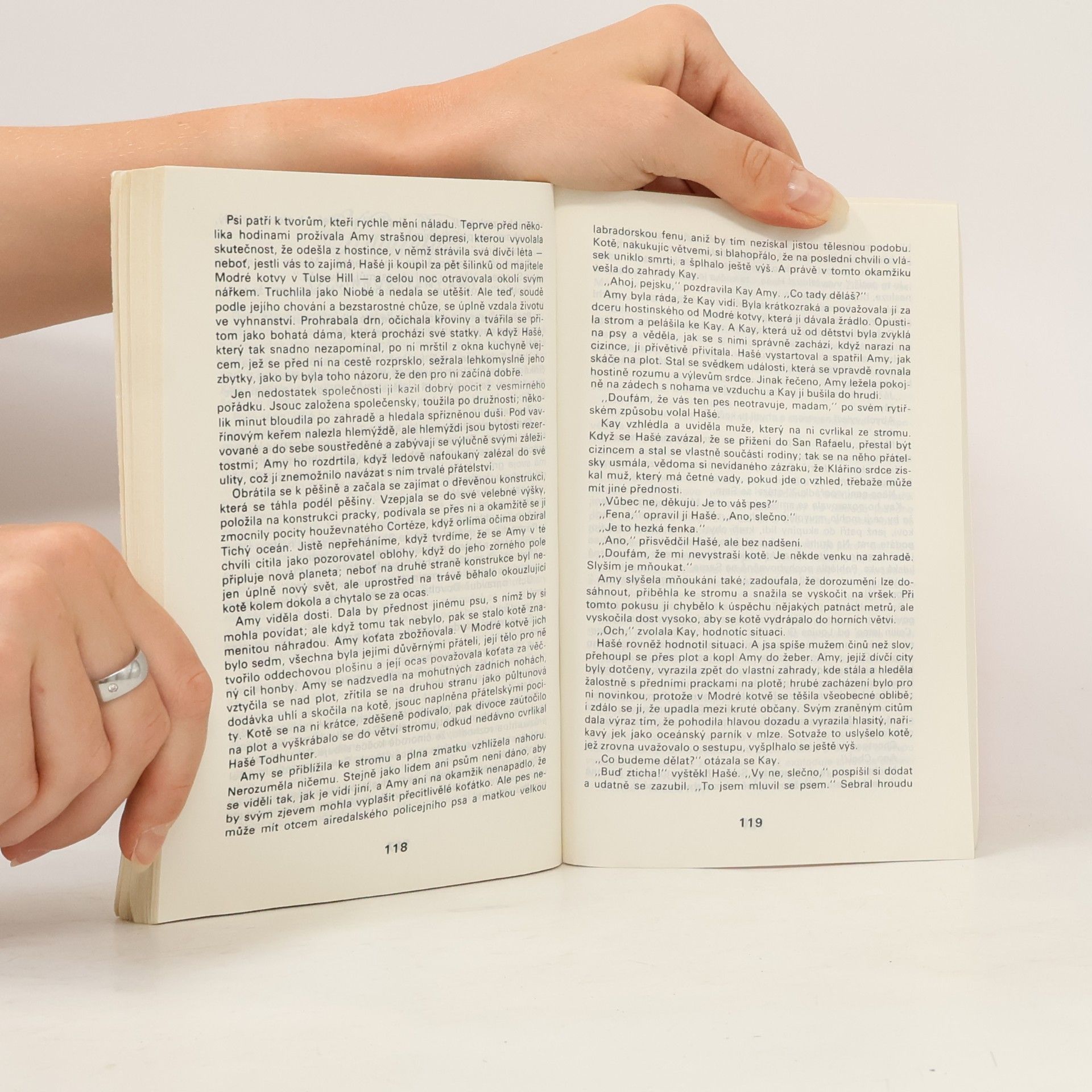 Pelham Wodehouse Ukvapený Sam