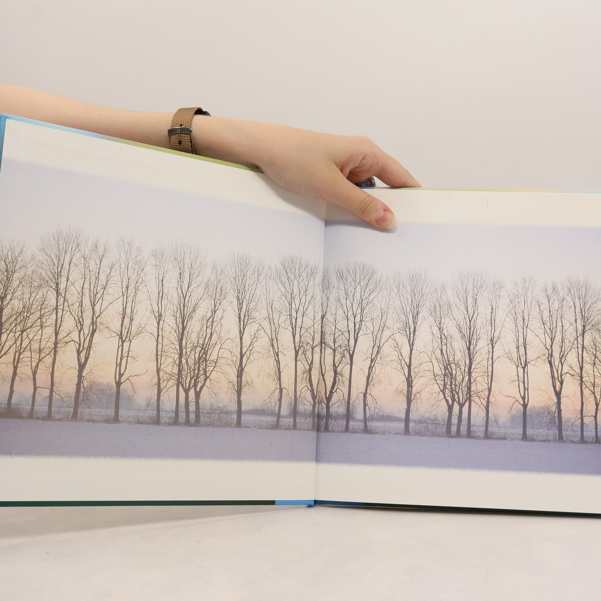 Ruth Rau Im Licht der Wintersonne