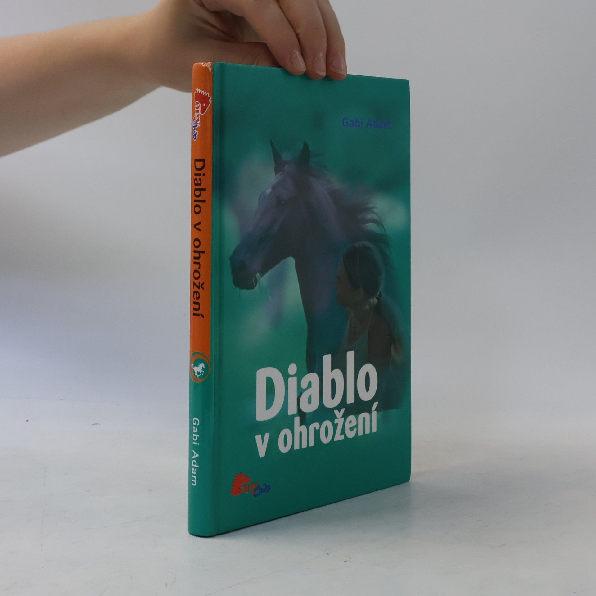 Gabi Adam Diablo v ohrožení. Diablo 2