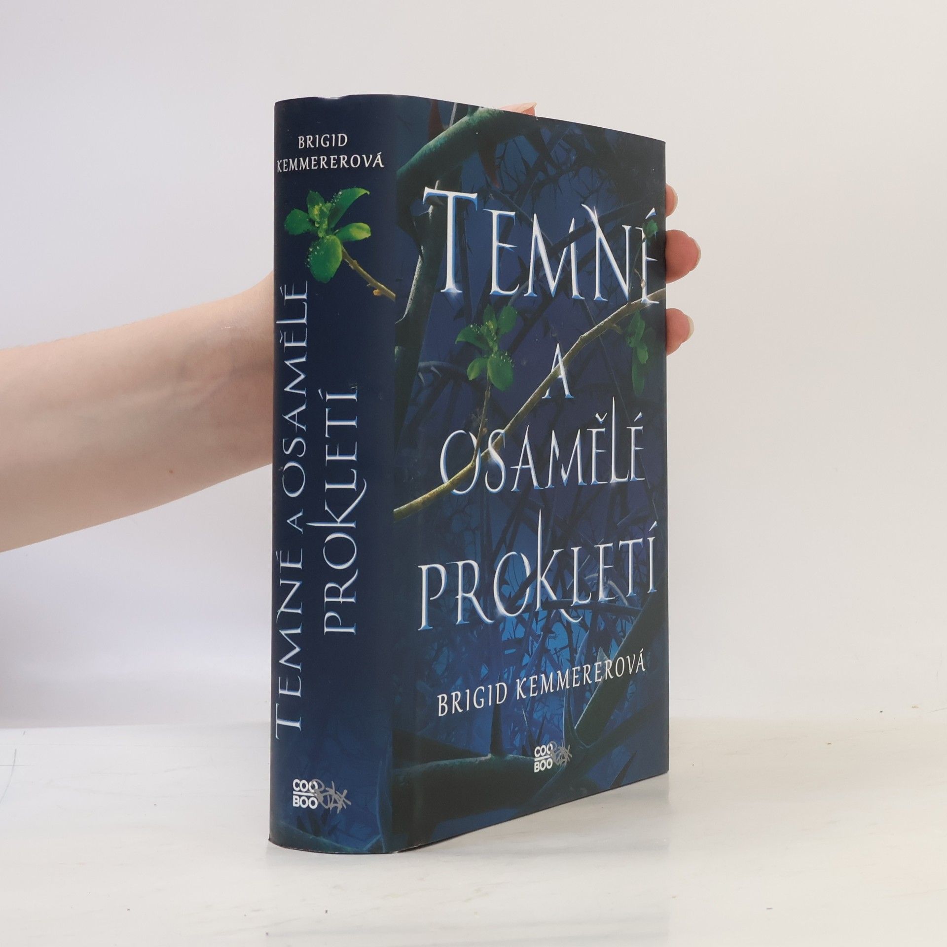Brigid Kemmerer Temné a osamělé prokletí