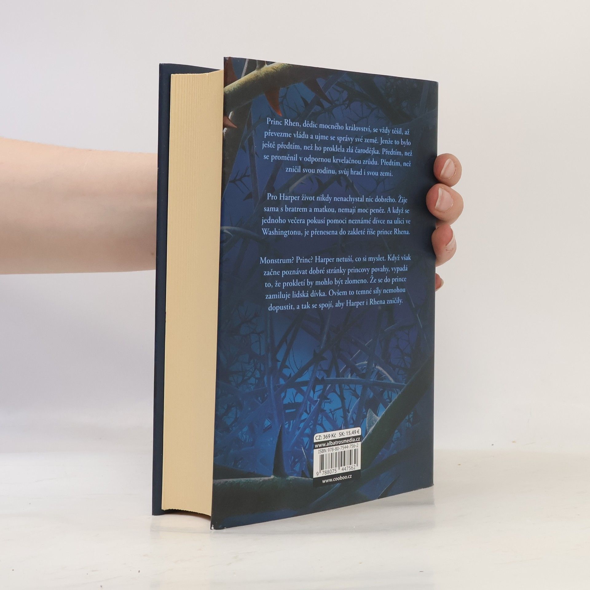 Brigid Kemmerer Temné a osamělé prokletí
