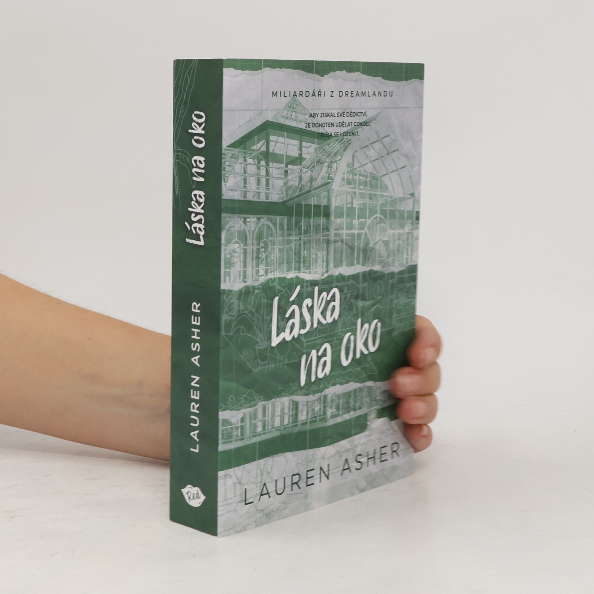 Lauren Asher Láska na oko