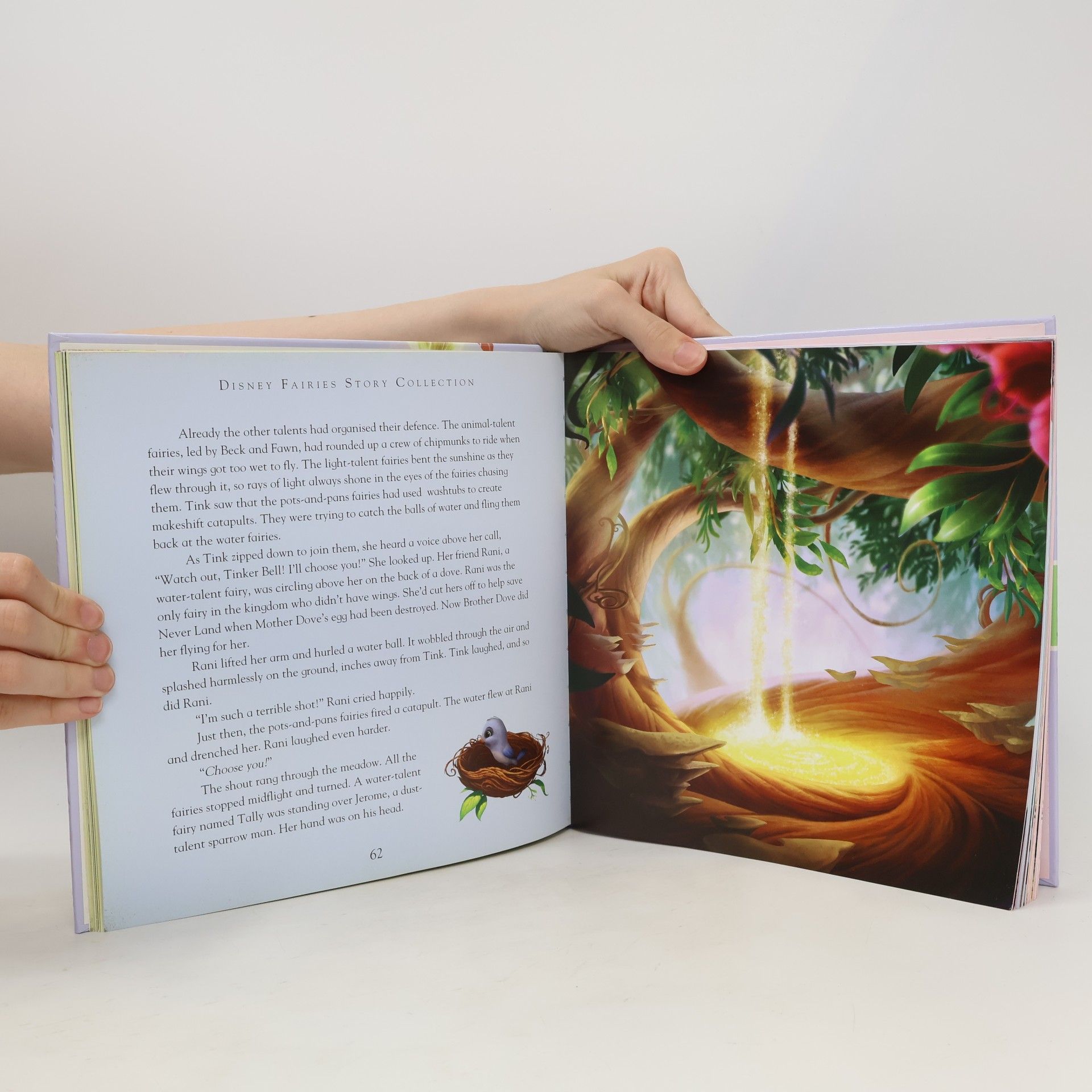 Autorenkollektiv Disney Fairies: Storybook Collection