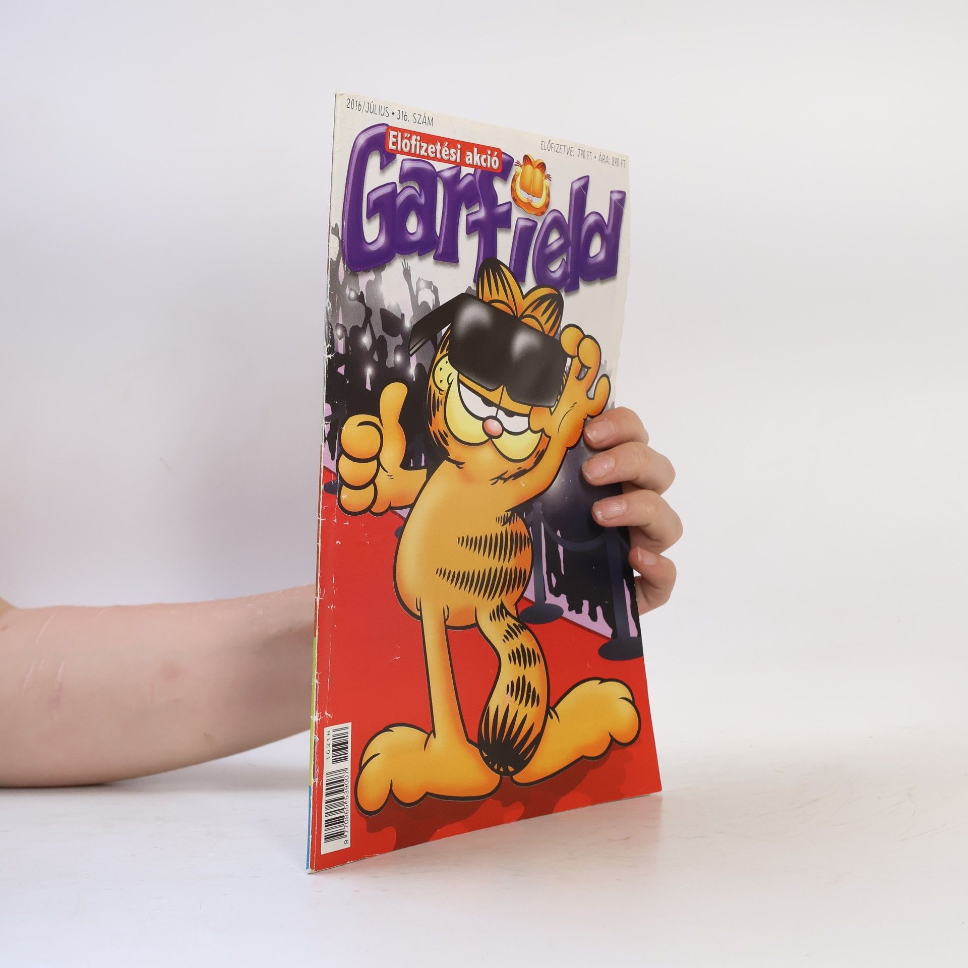 Jim Davis Garfield 316