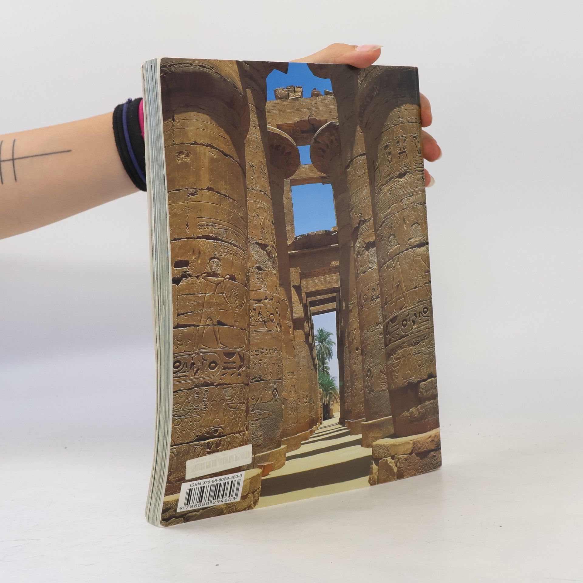 Abbas Chalaby Napříč Egyptem. Od Káhiry po Abu Simbel a Sinaj
