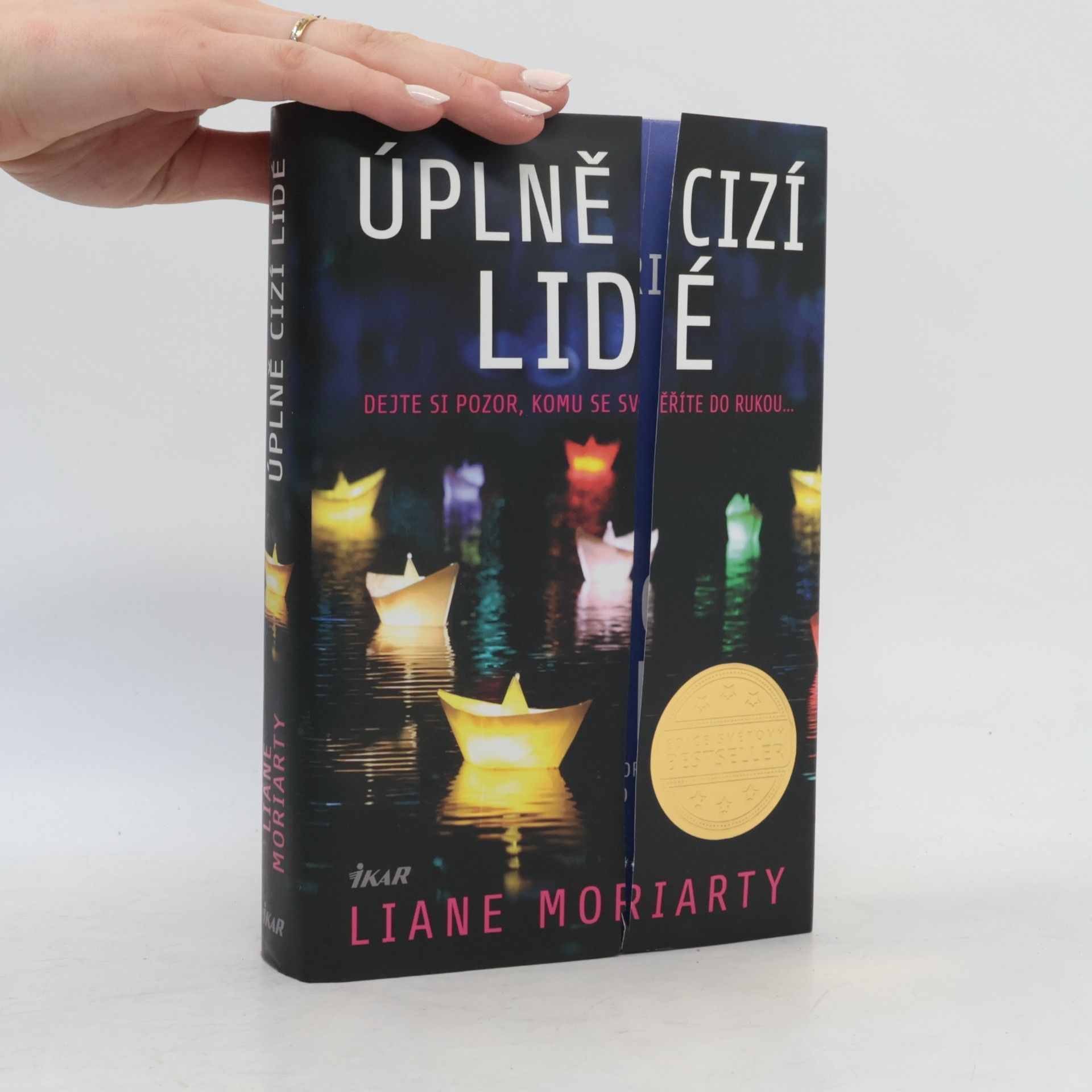 Liane Moriarty Úplně cizí lidé