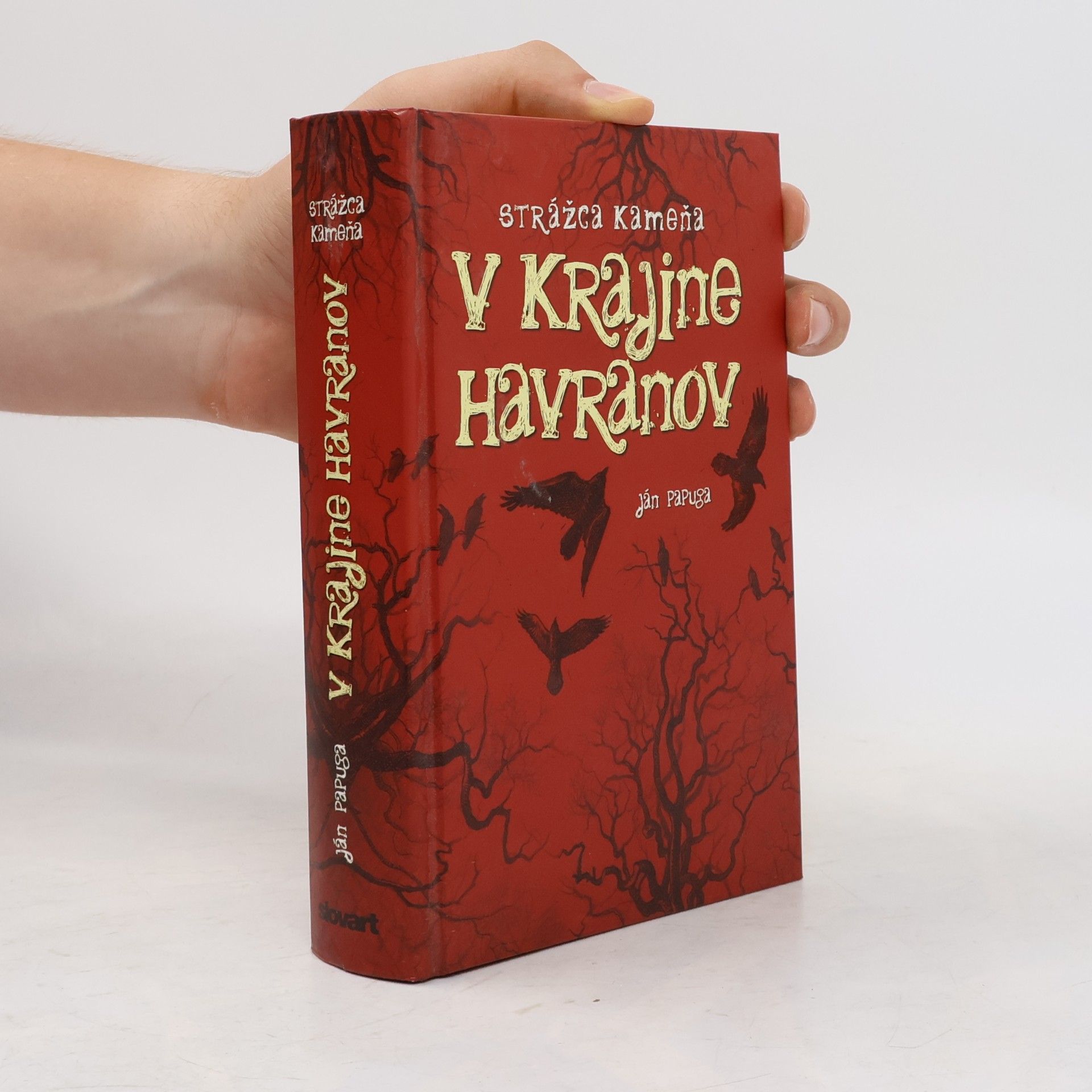 Ján Papuga V krajine havranov