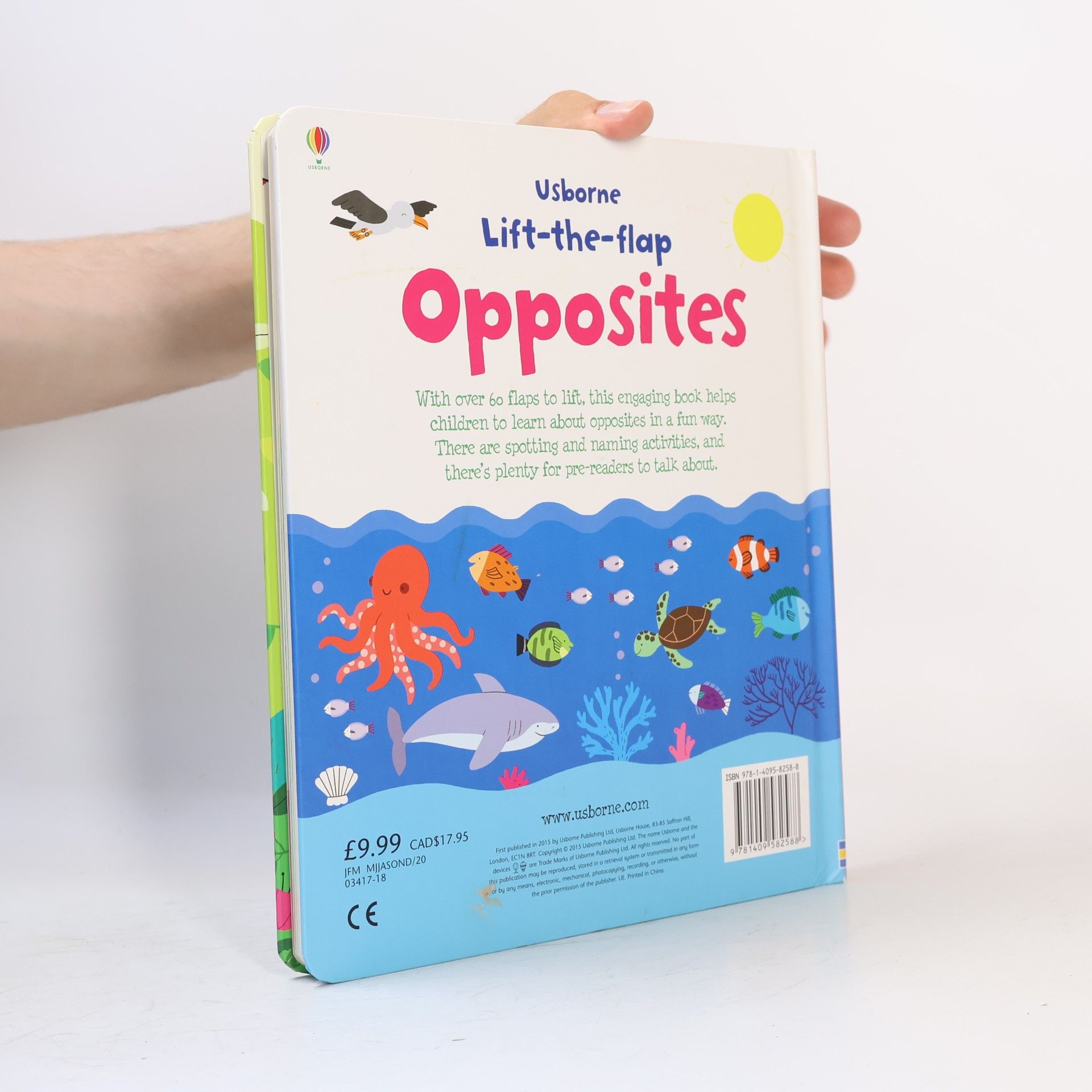 Felicity Brooks Opposites