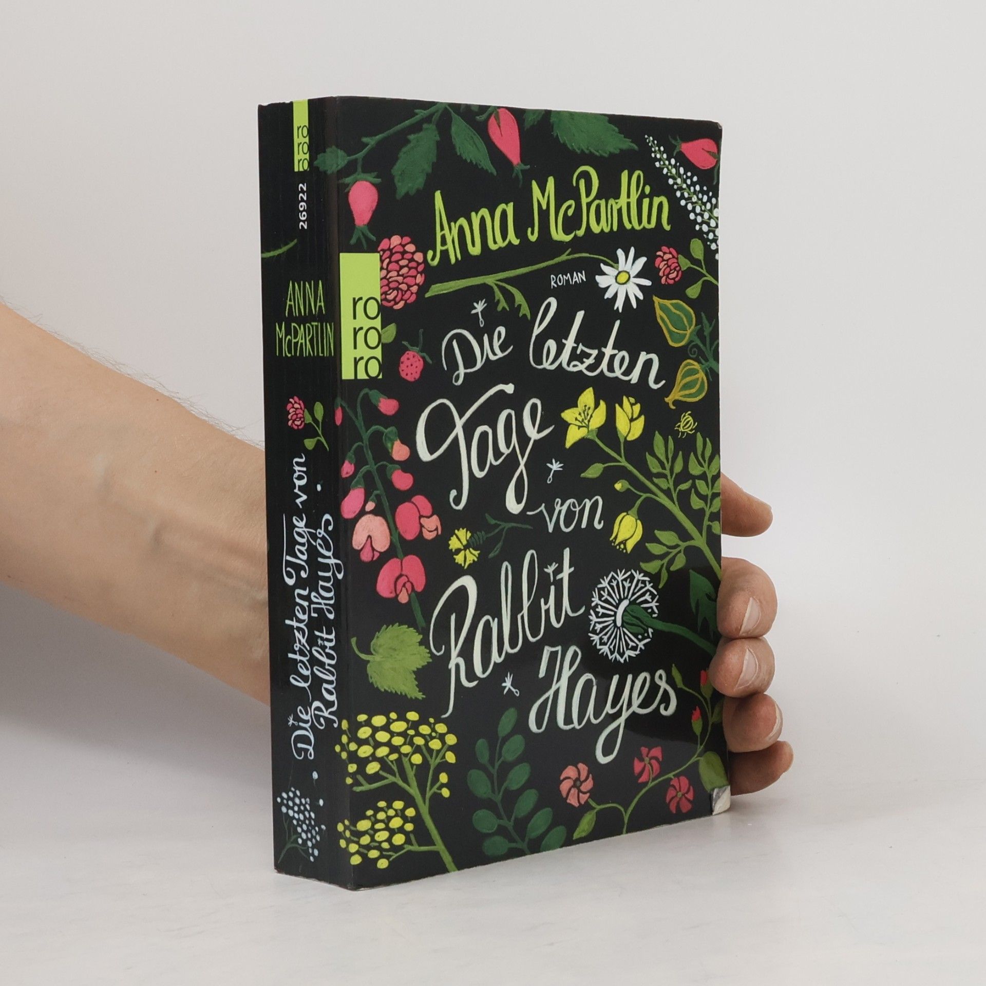 Anna McPartlin Die letzten Tage von Rabbit Hayes