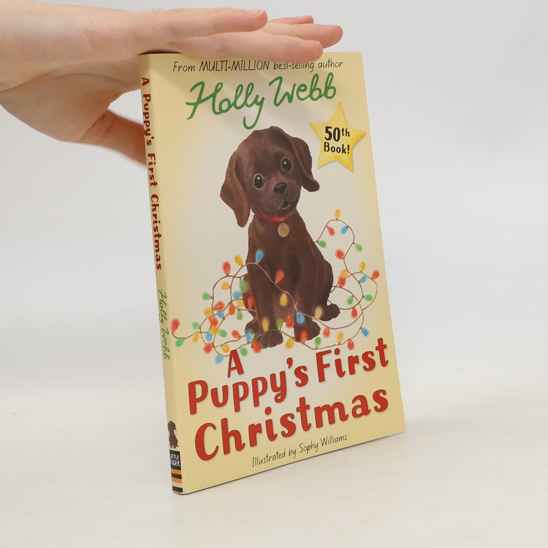 Holly Webb A Puppy's First Christmas