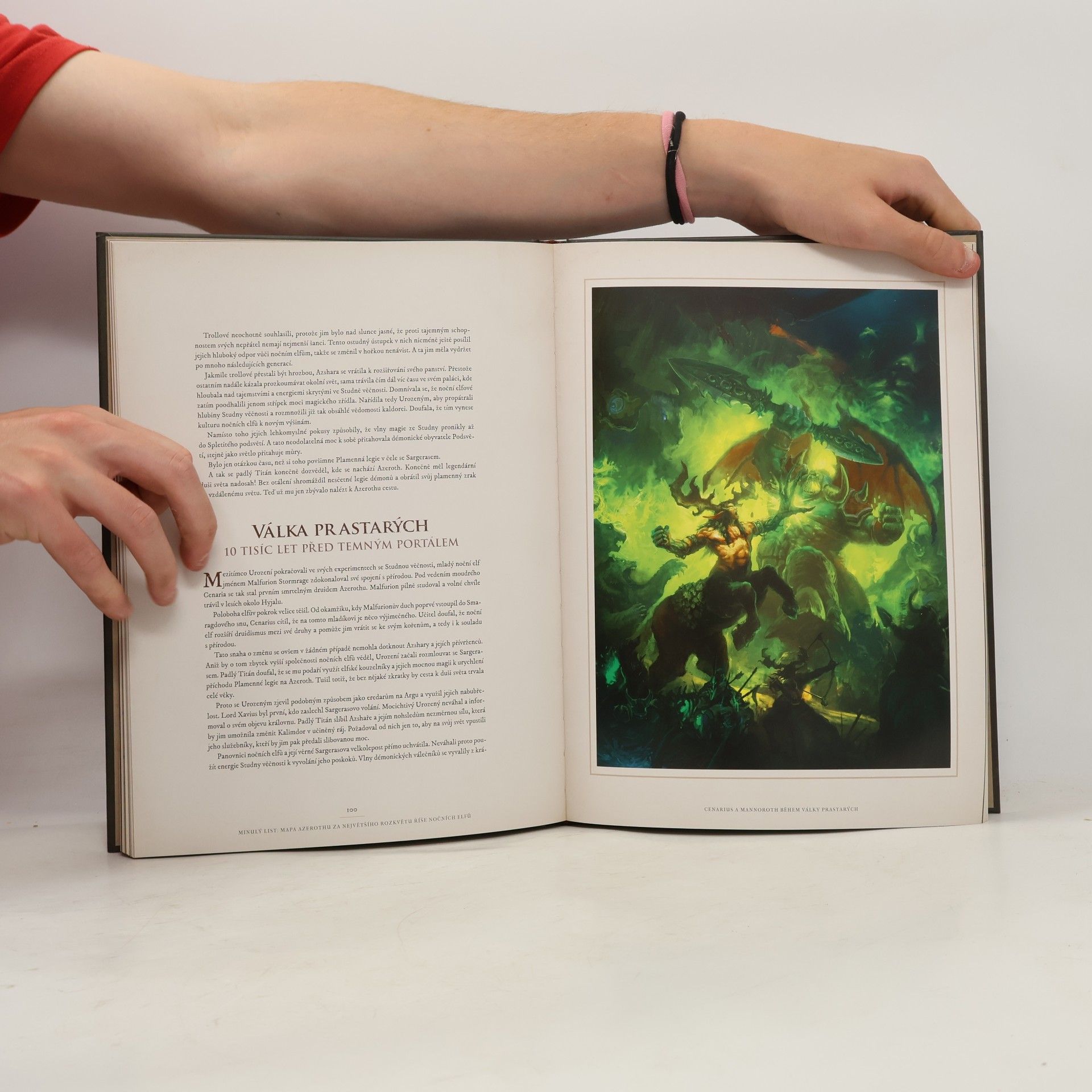 Chris Metzen World of Warcraft. Kronika. Svazek I